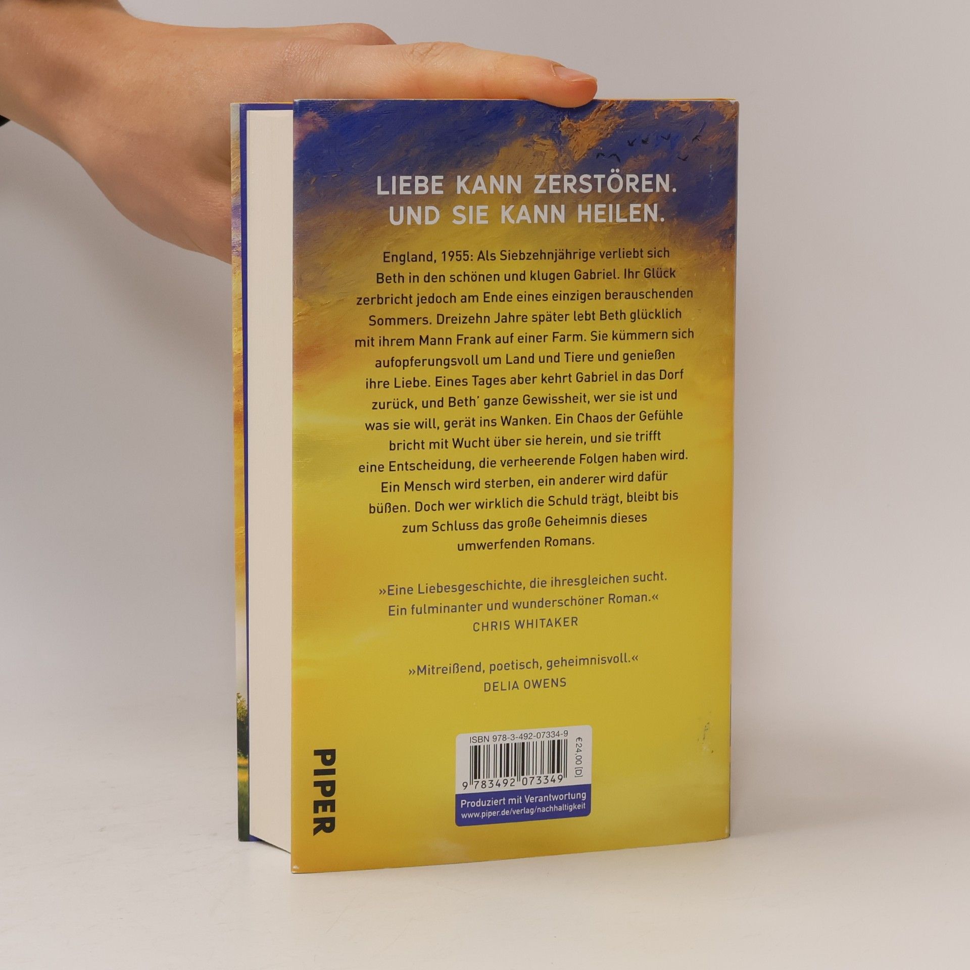 Clare Leslie Hall Wie Risse in der Erde