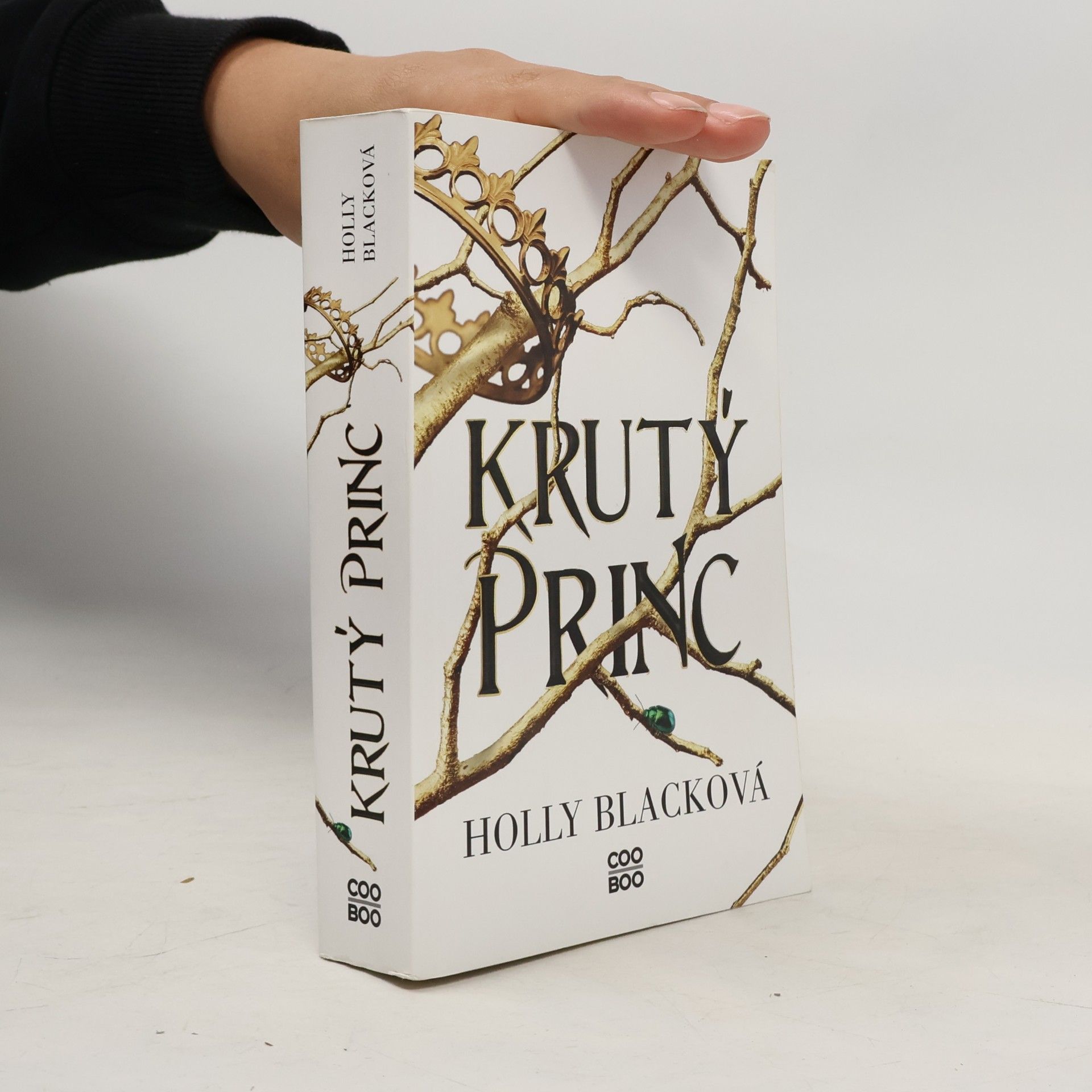 Holly Black Krutý princ 1. Krutý princ