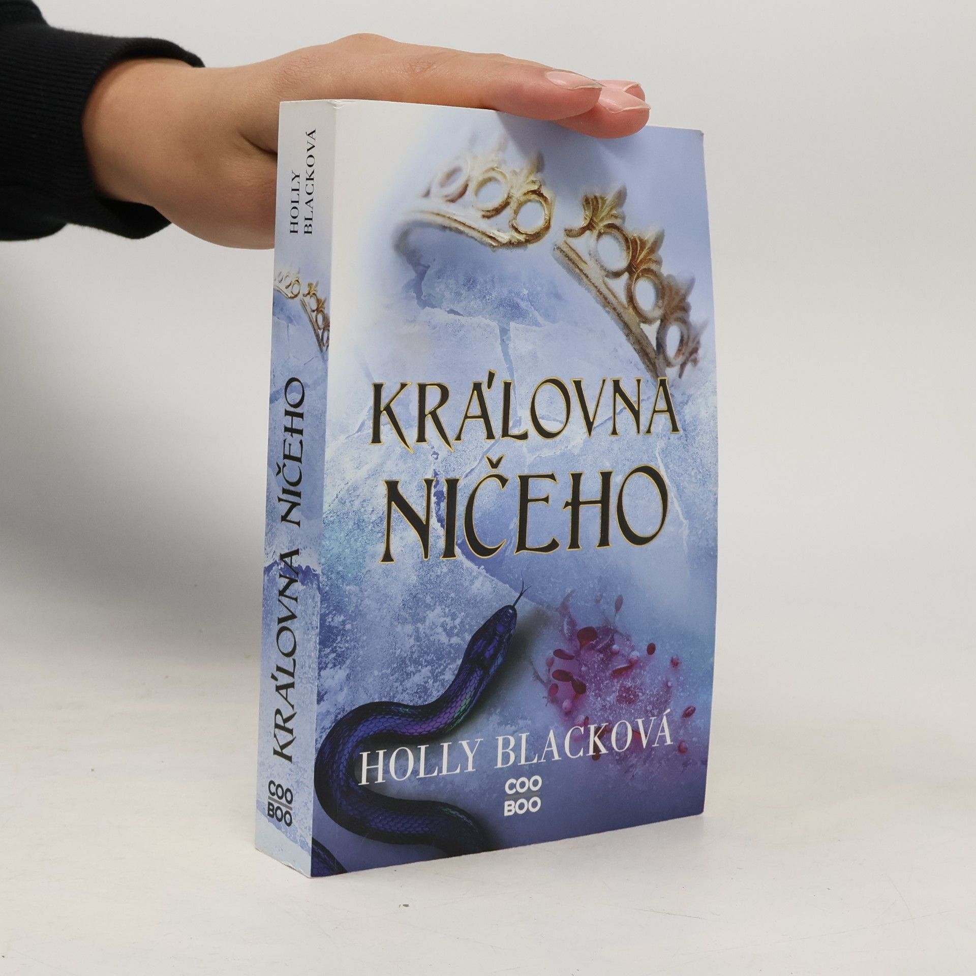 Holly Black Královna ničeho