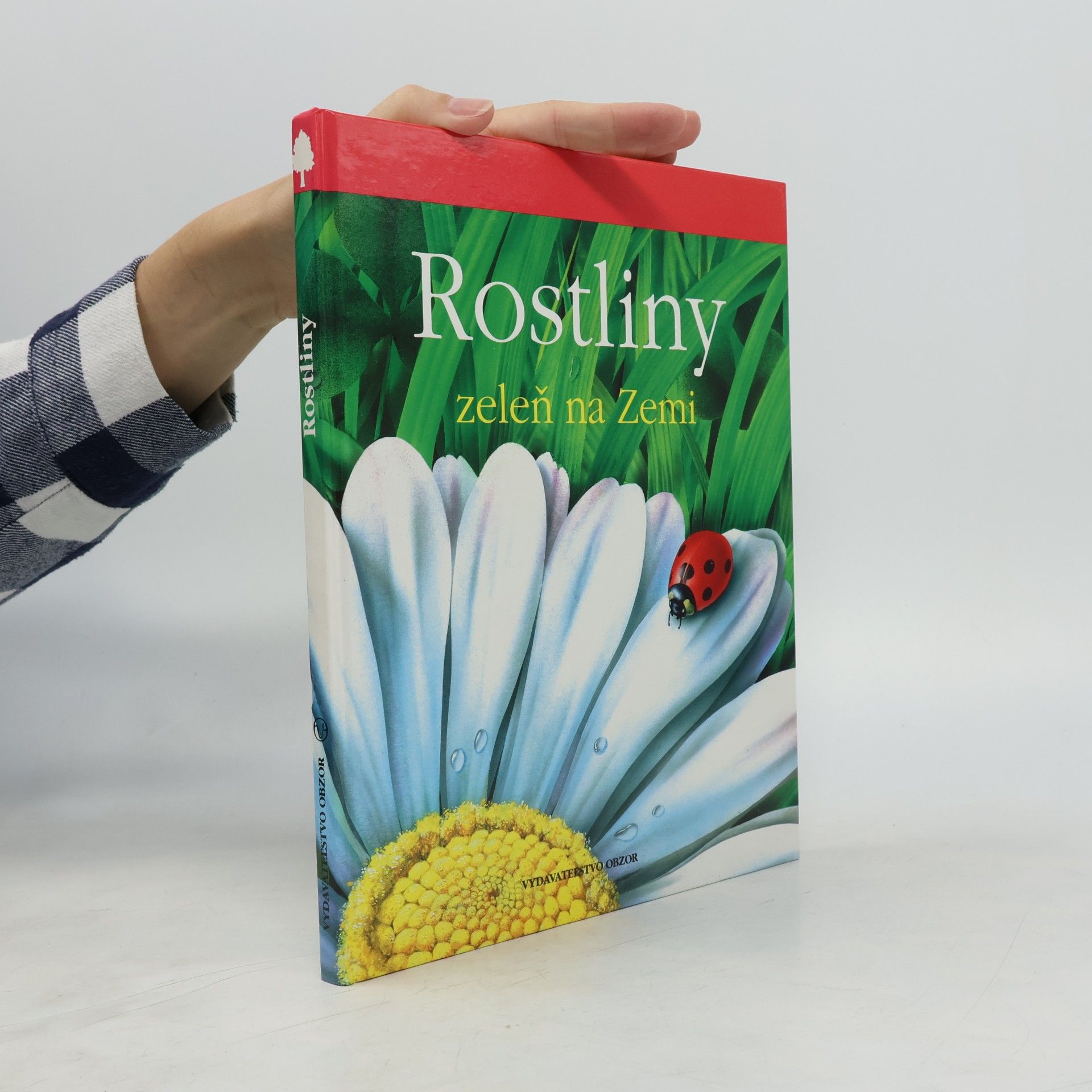 Lucia Benedittiová Rostliny. Zeleň na zemi