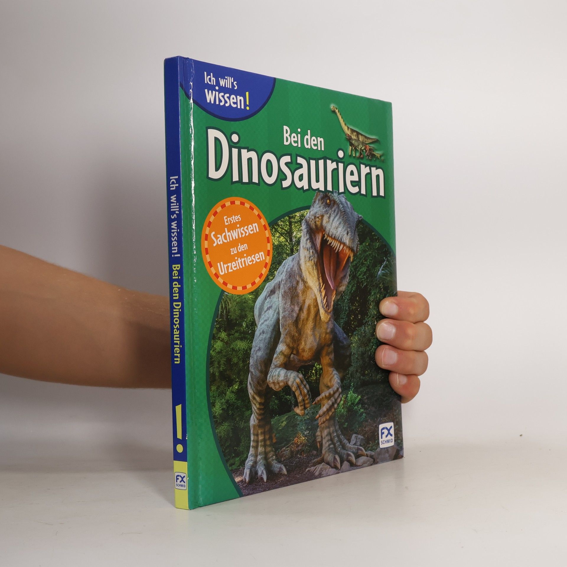 Bei den Dinosauriern