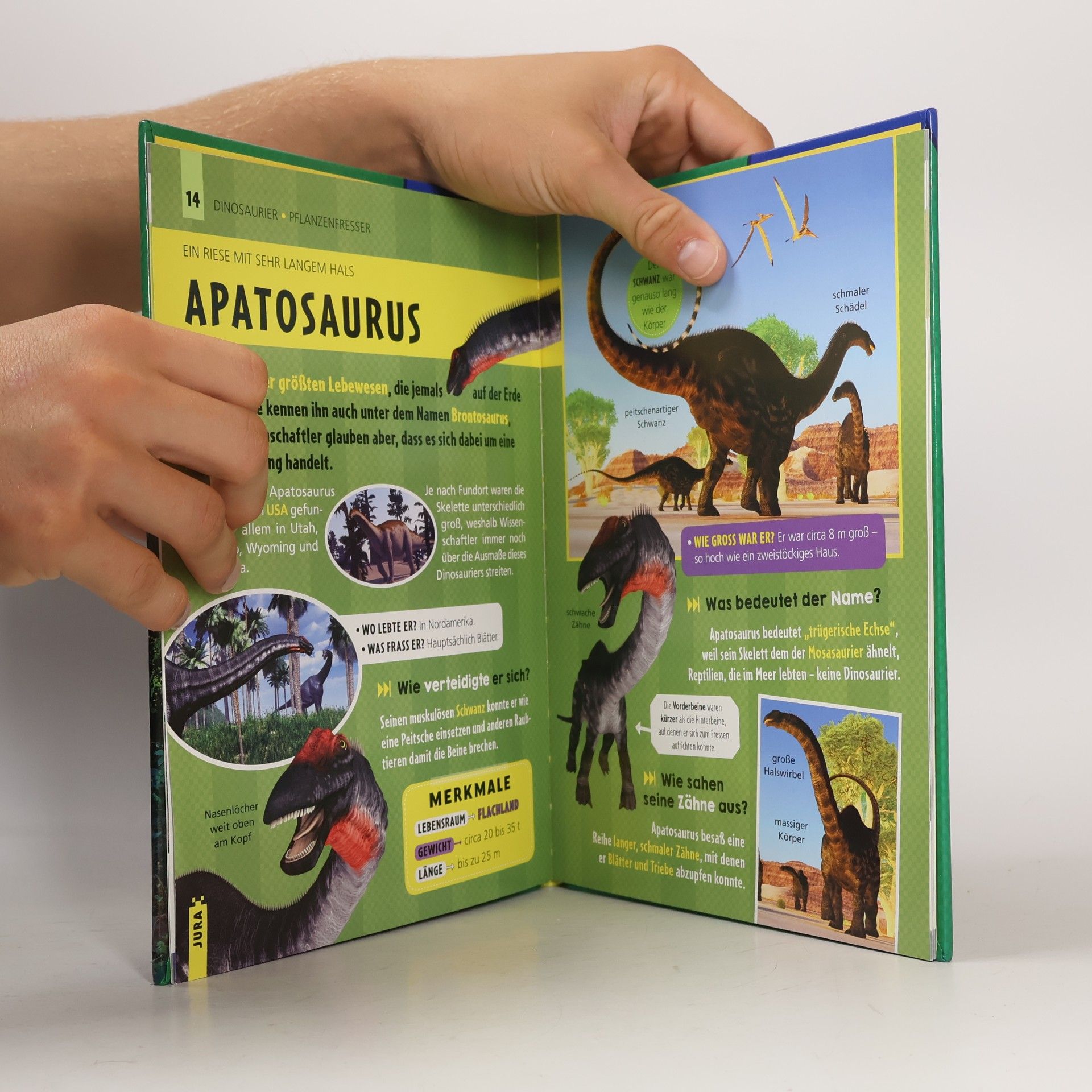 Laura Aceti Bei den Dinosauriern