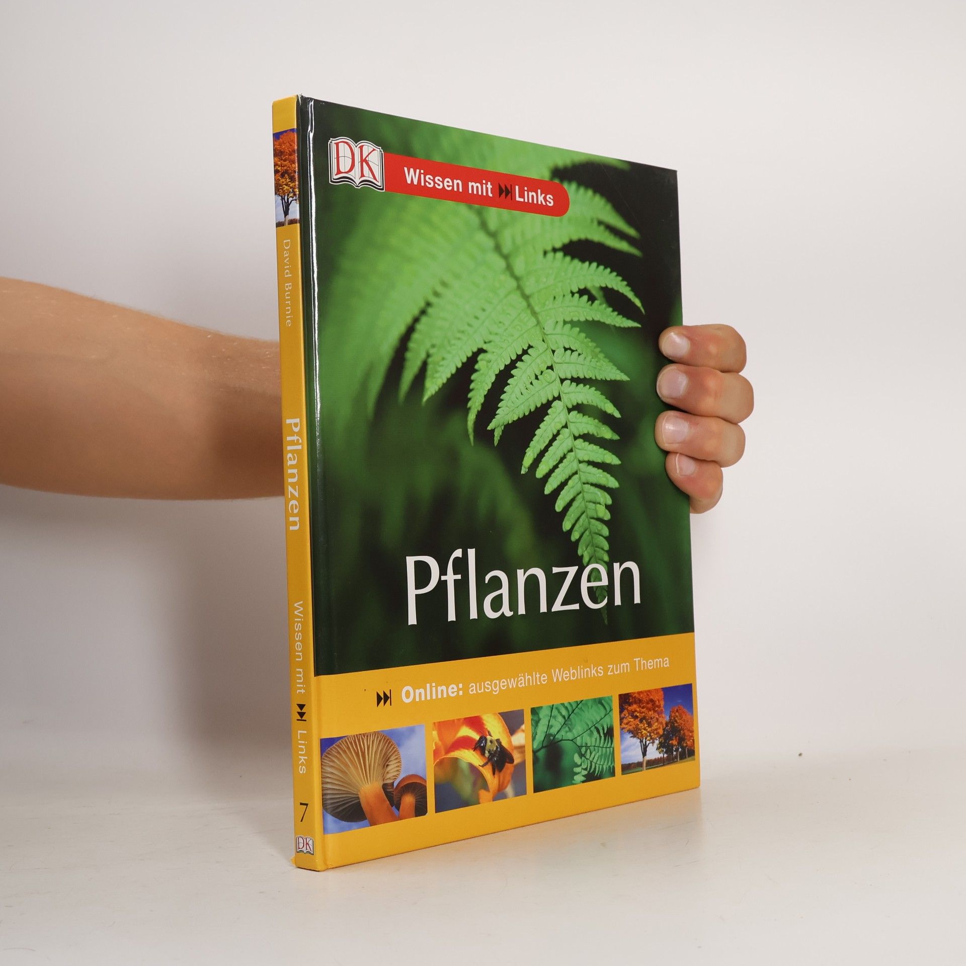 Pflanzen