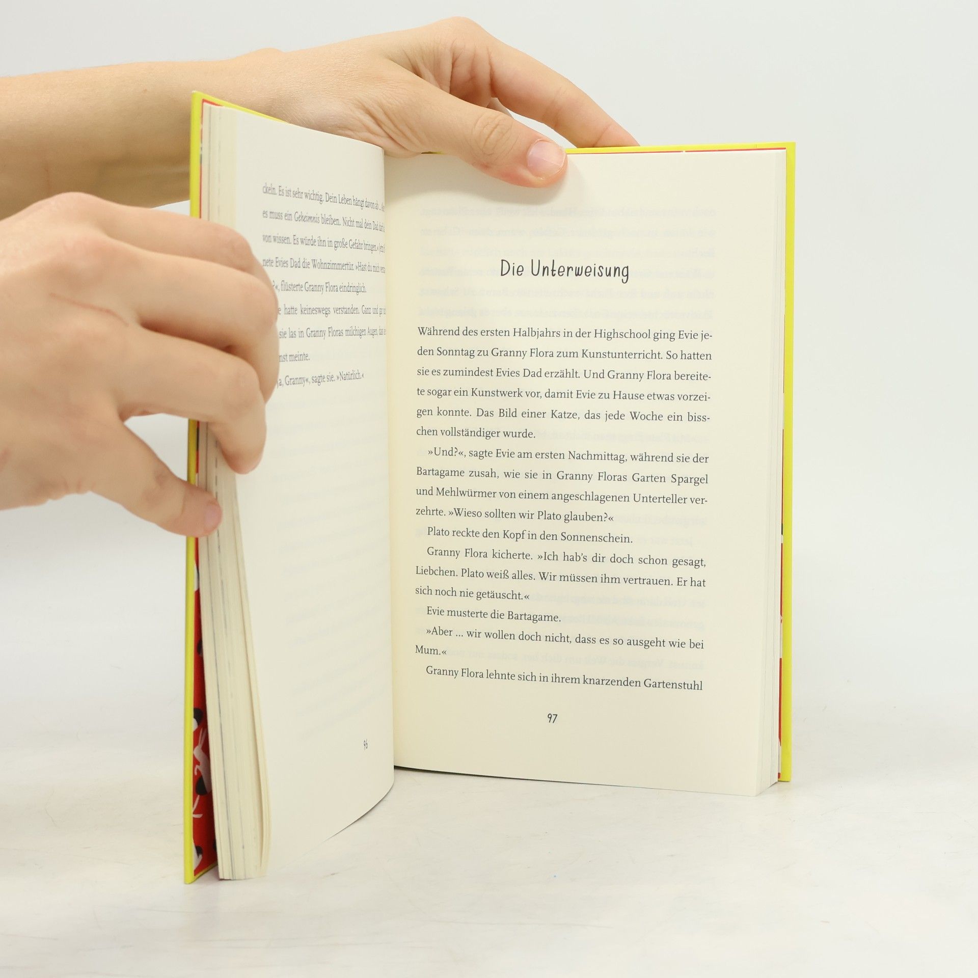 Matt Haig Evie und die Macht der Tiere
