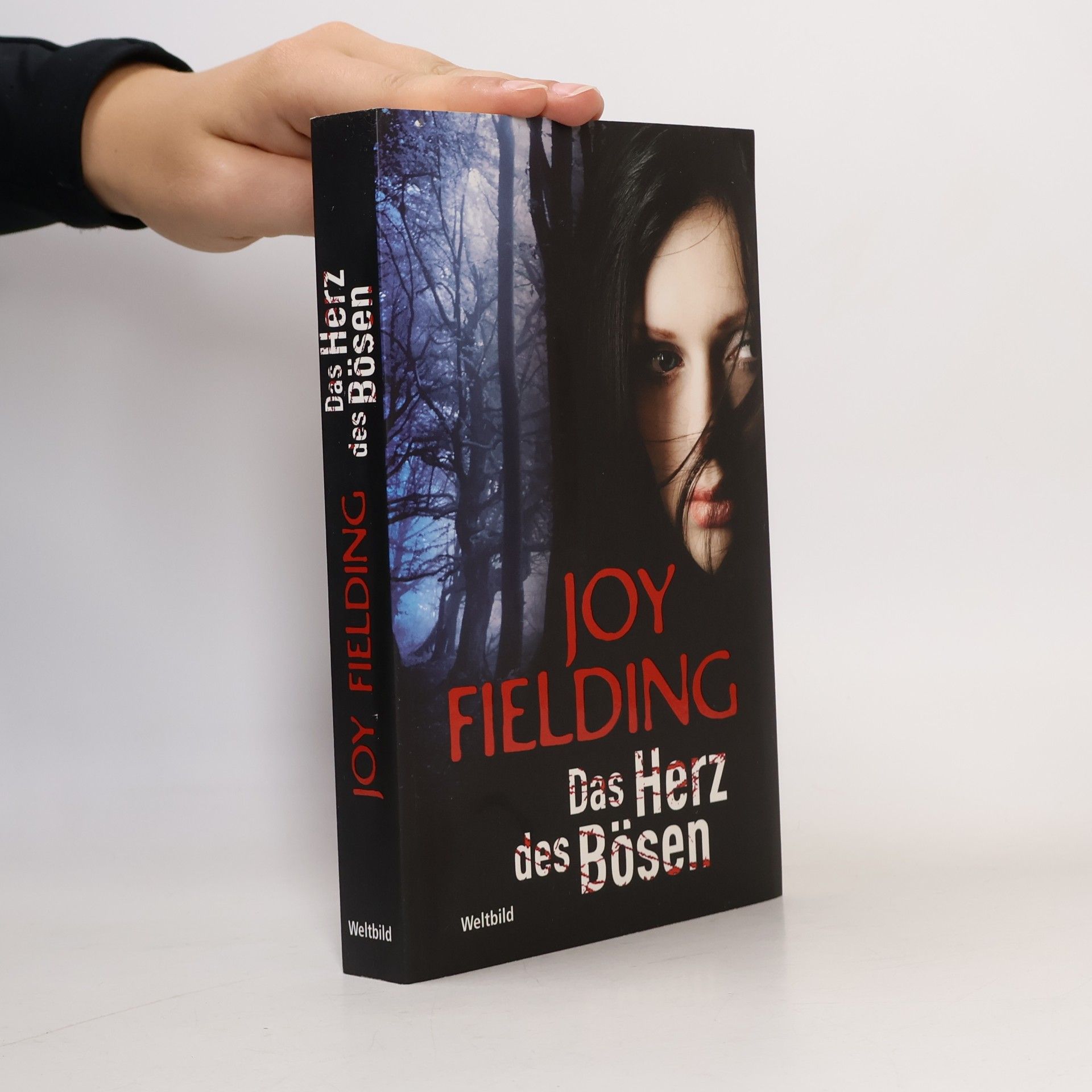Joy Fielding Das Herz des Bösen