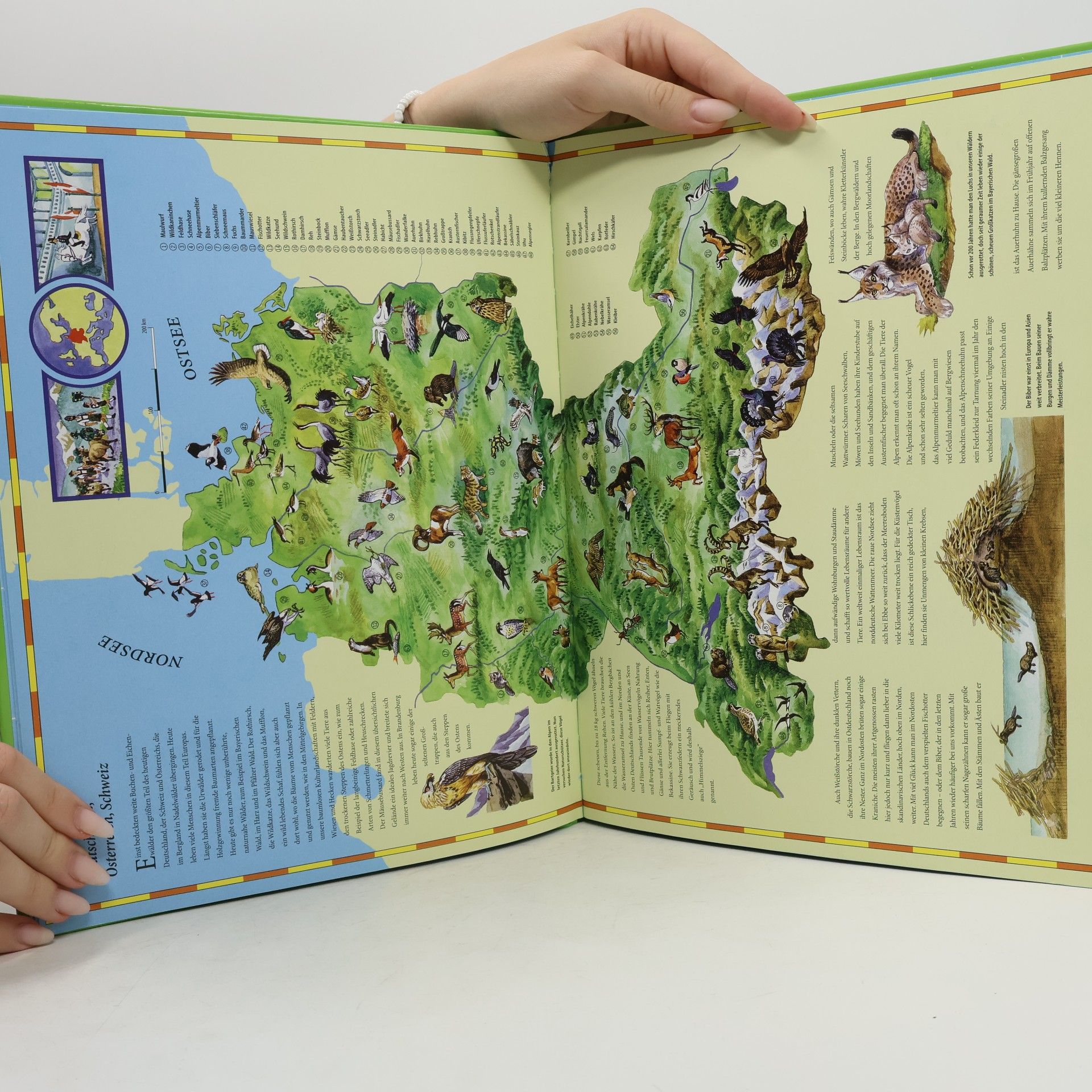 Reiner Zieger Kinderatlas Tiere