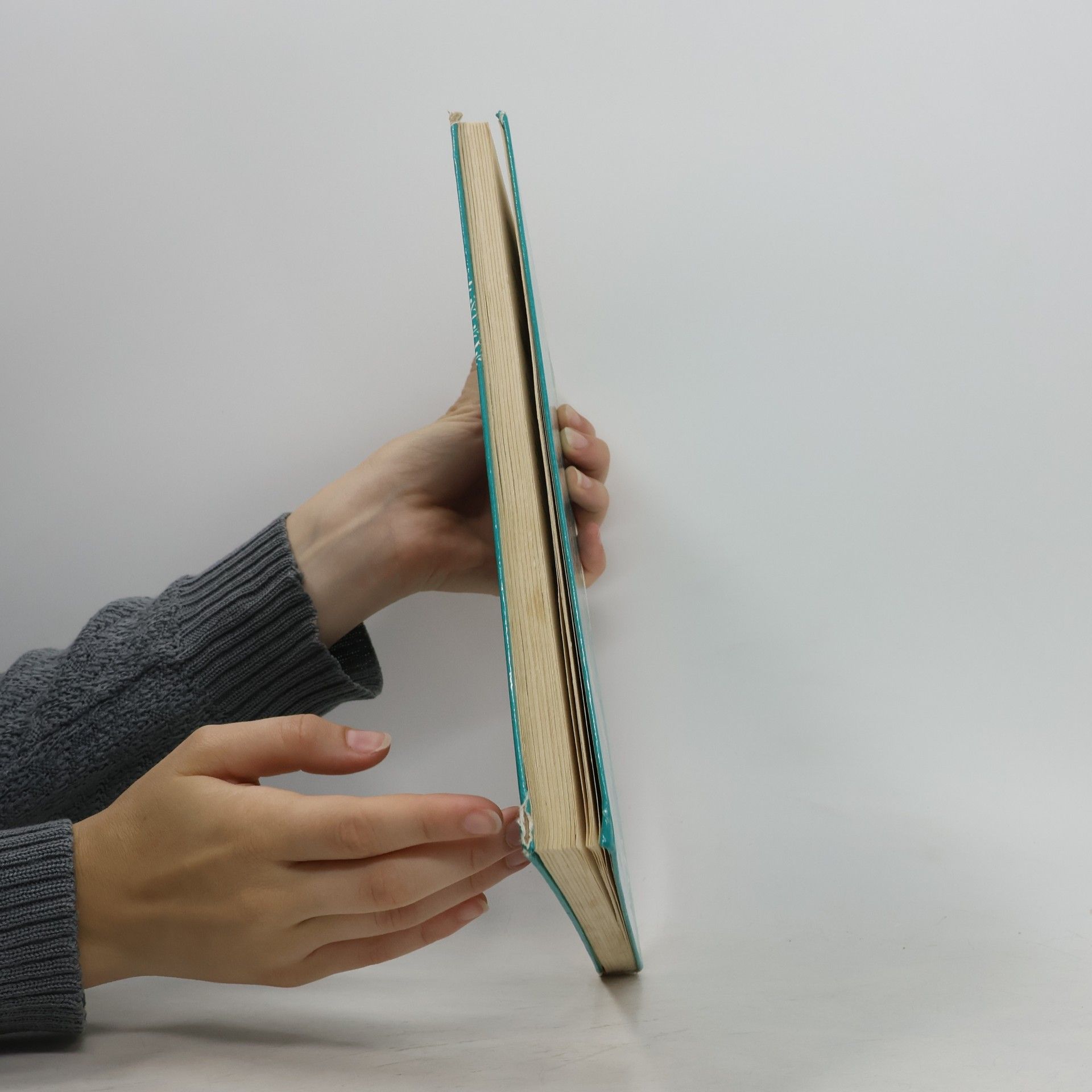Autores varios Ablak-Zsiráf