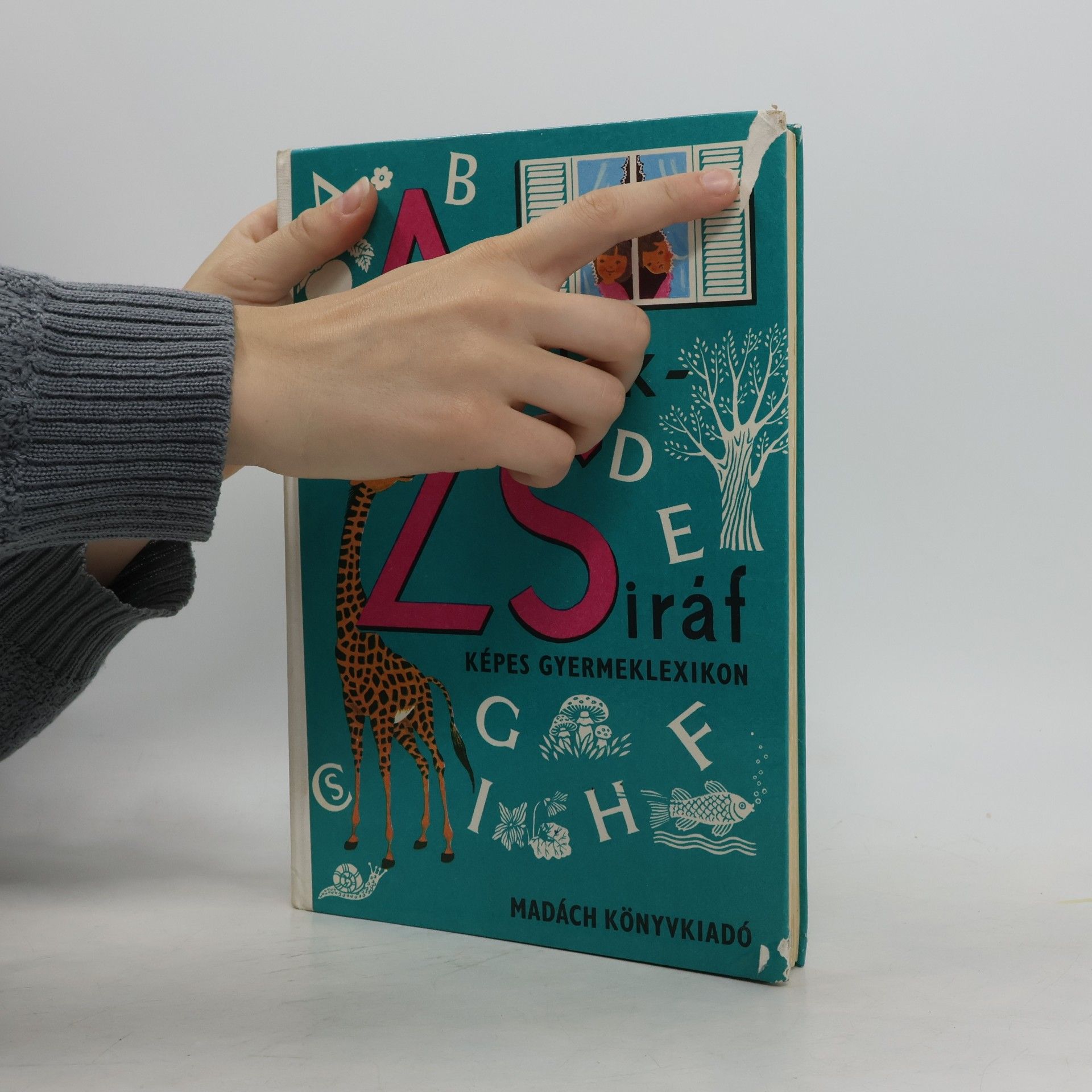 Autores varios Ablak-Zsiráf