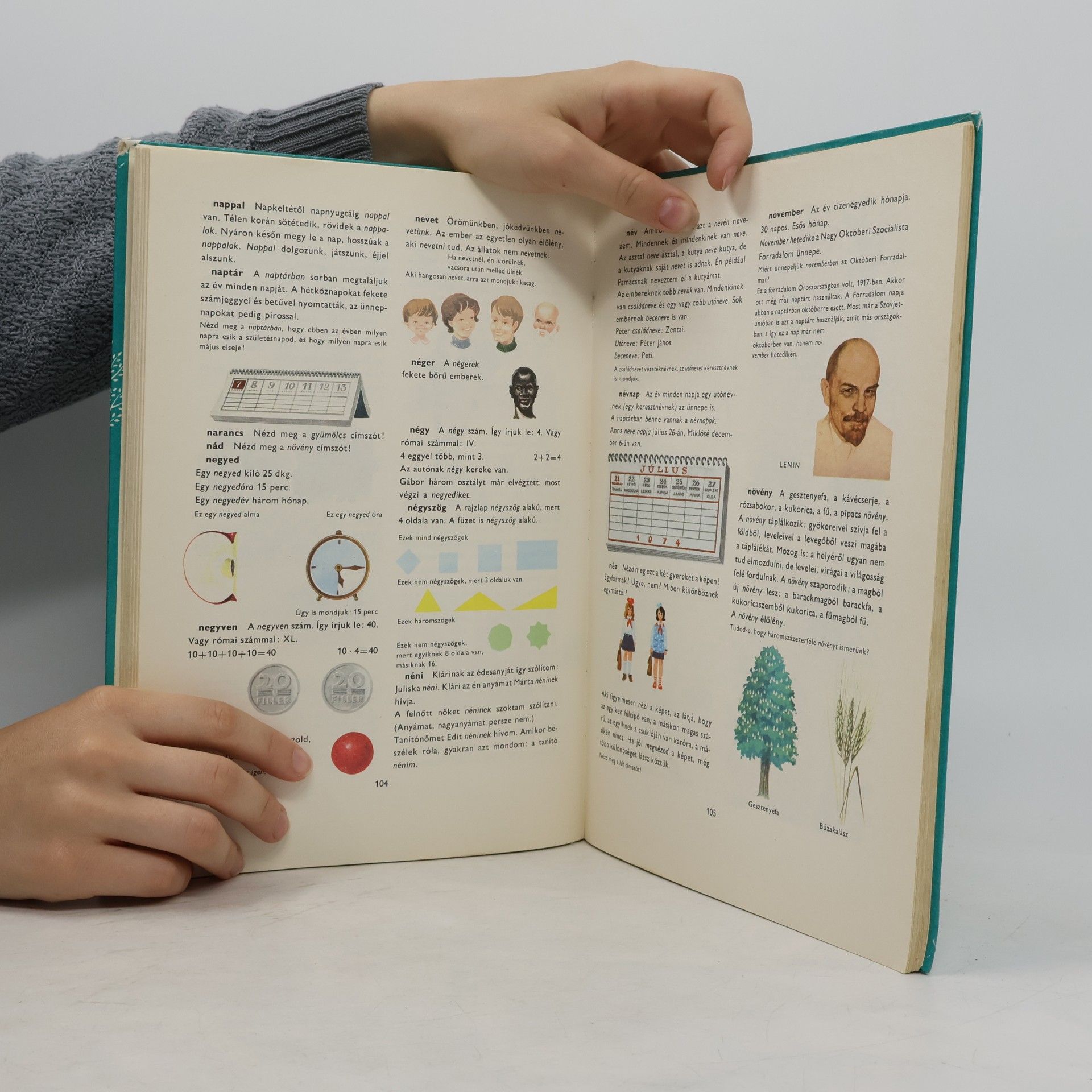 Autores varios Ablak-Zsiráf