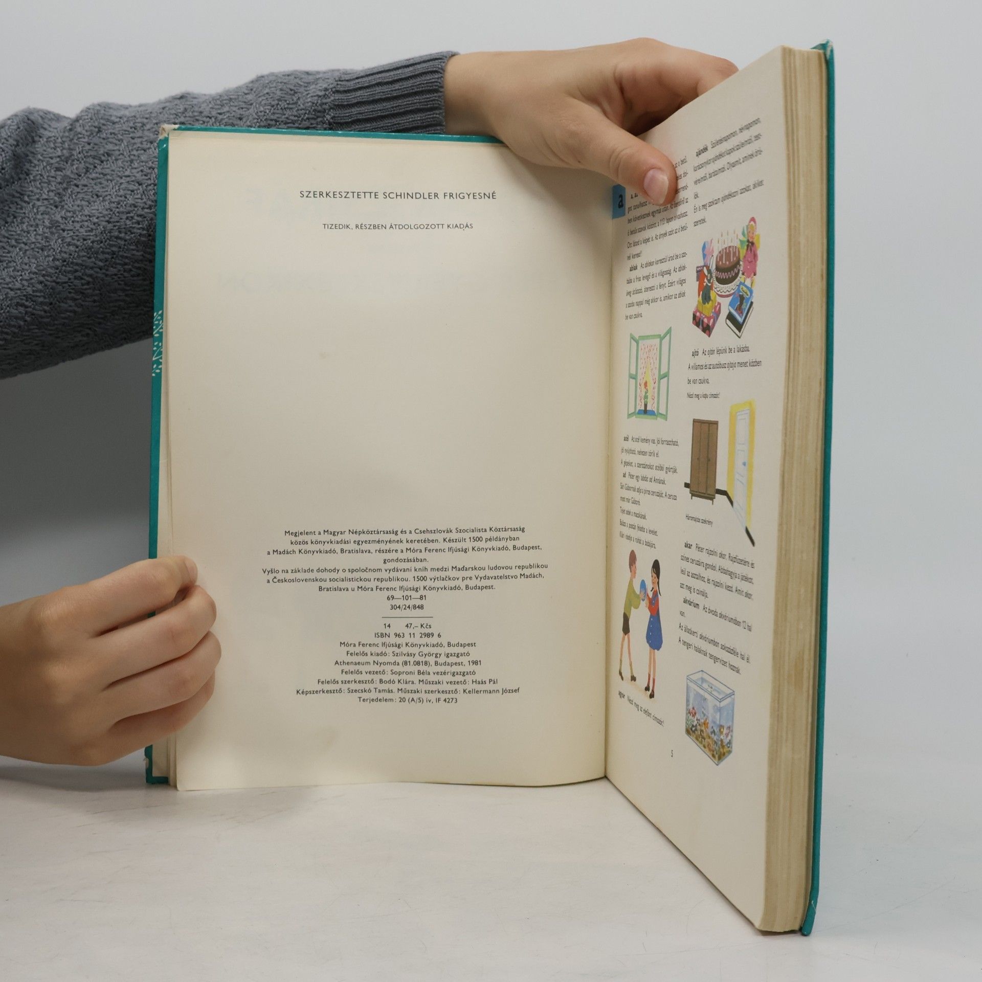 Autores varios Ablak-Zsiráf