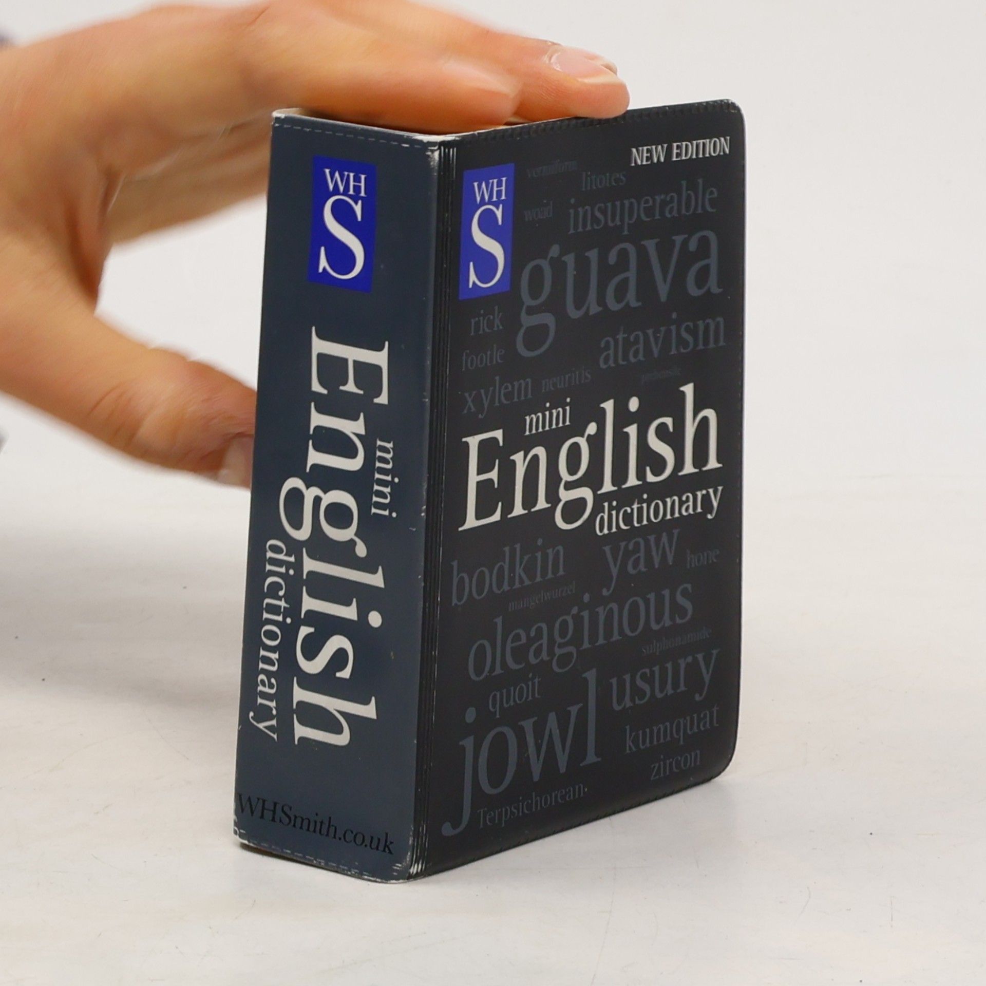 kolektiv Mini English Dictionary