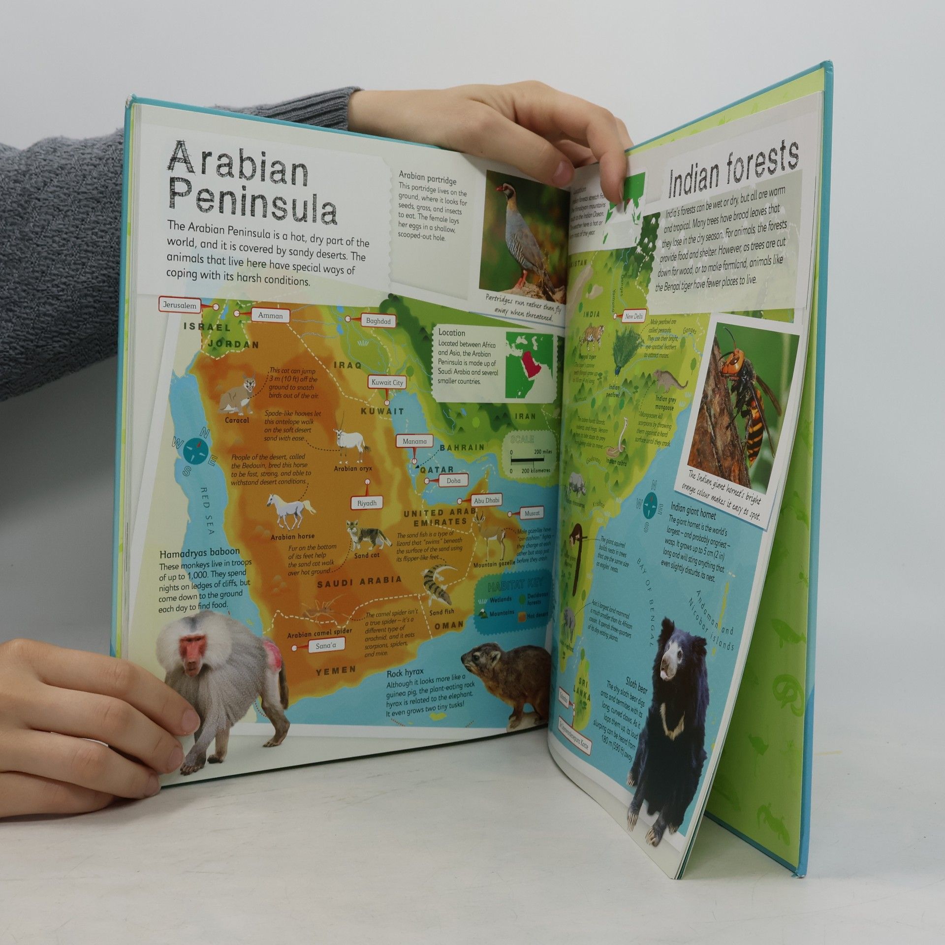Dorling Kindersley Publishing Staff Children's Illustrated Atlases: Children's Illustrated Animal Atlas: World Map Poster Included