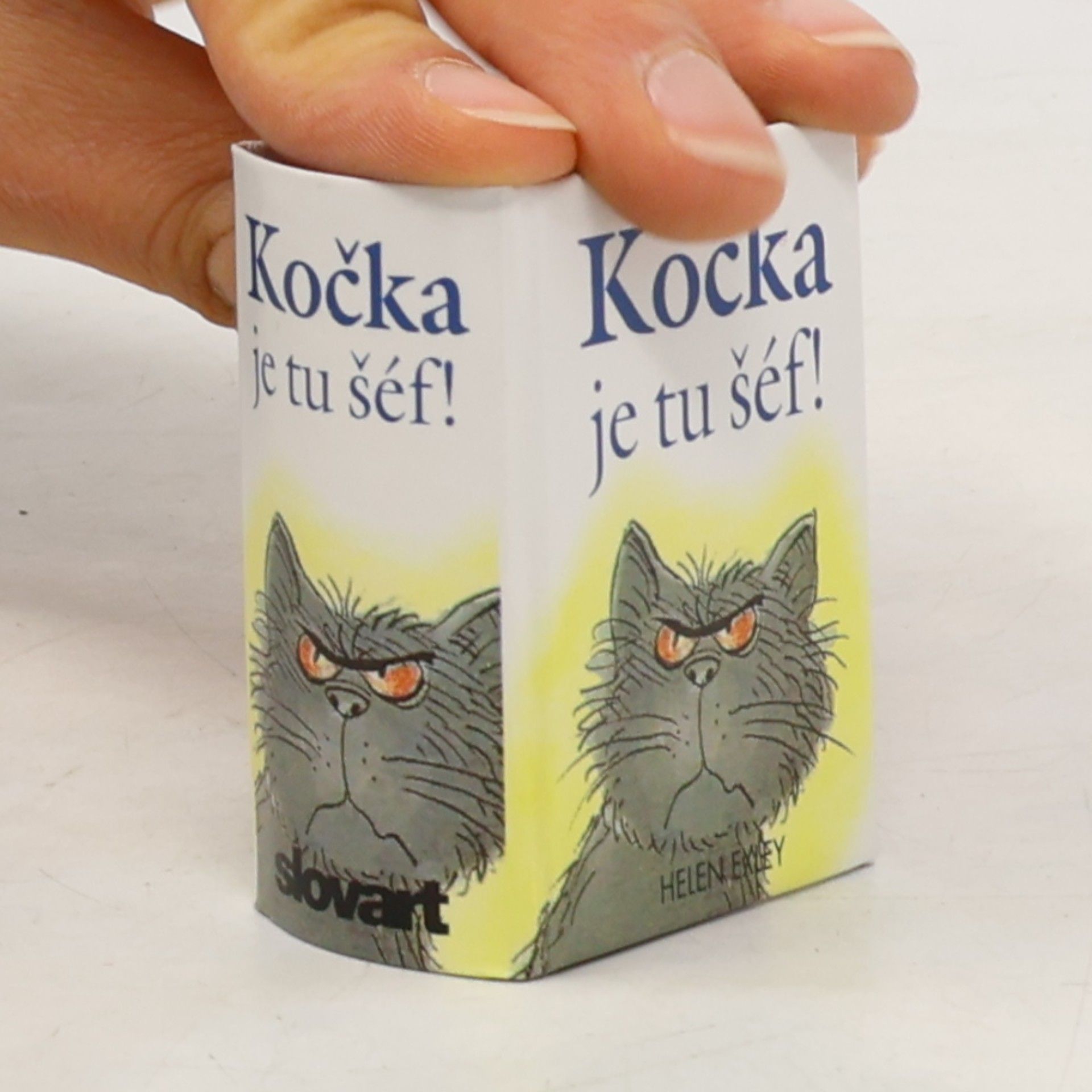 Helen Exley Kočka je tu šéf!