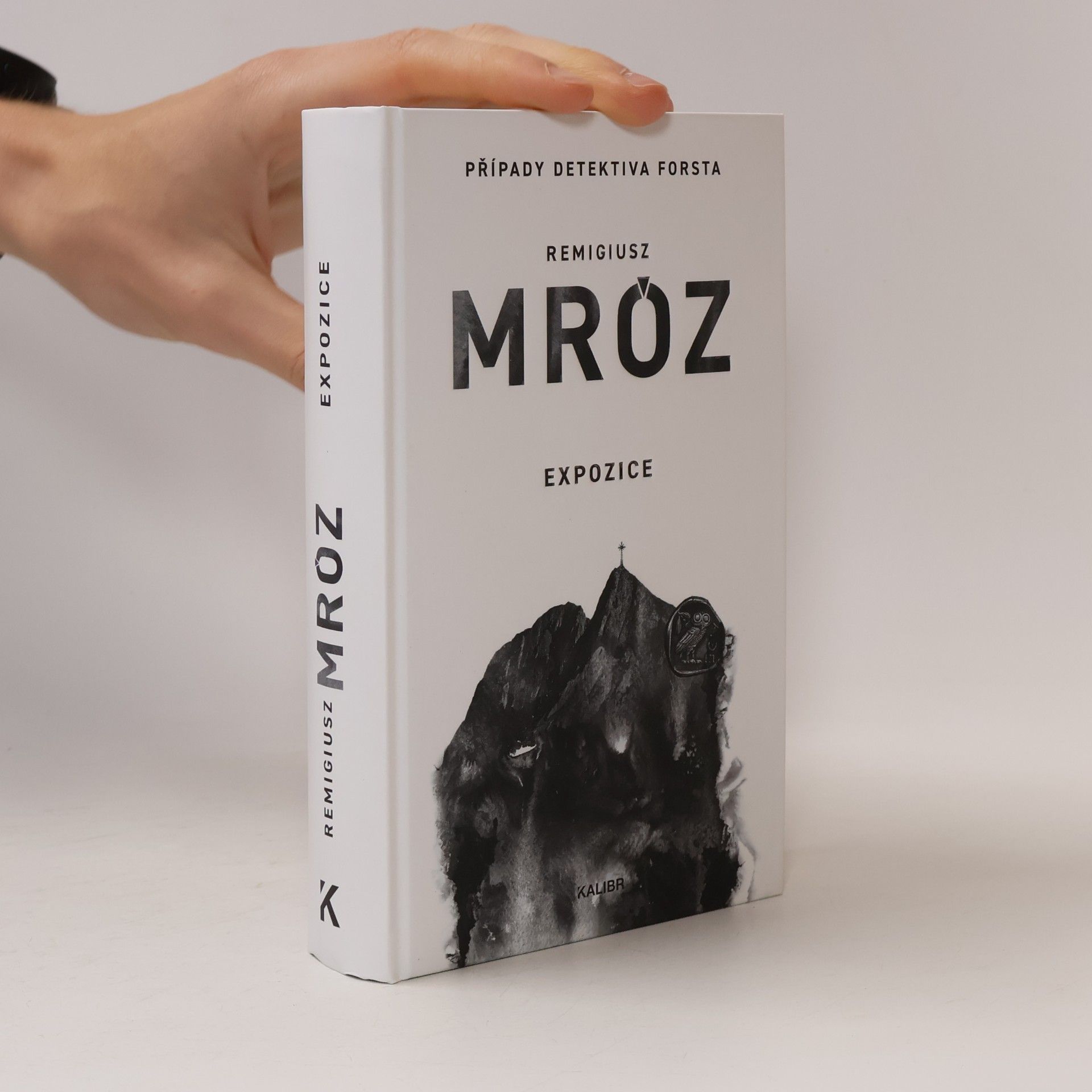 Remigiusz Mróz Expozice