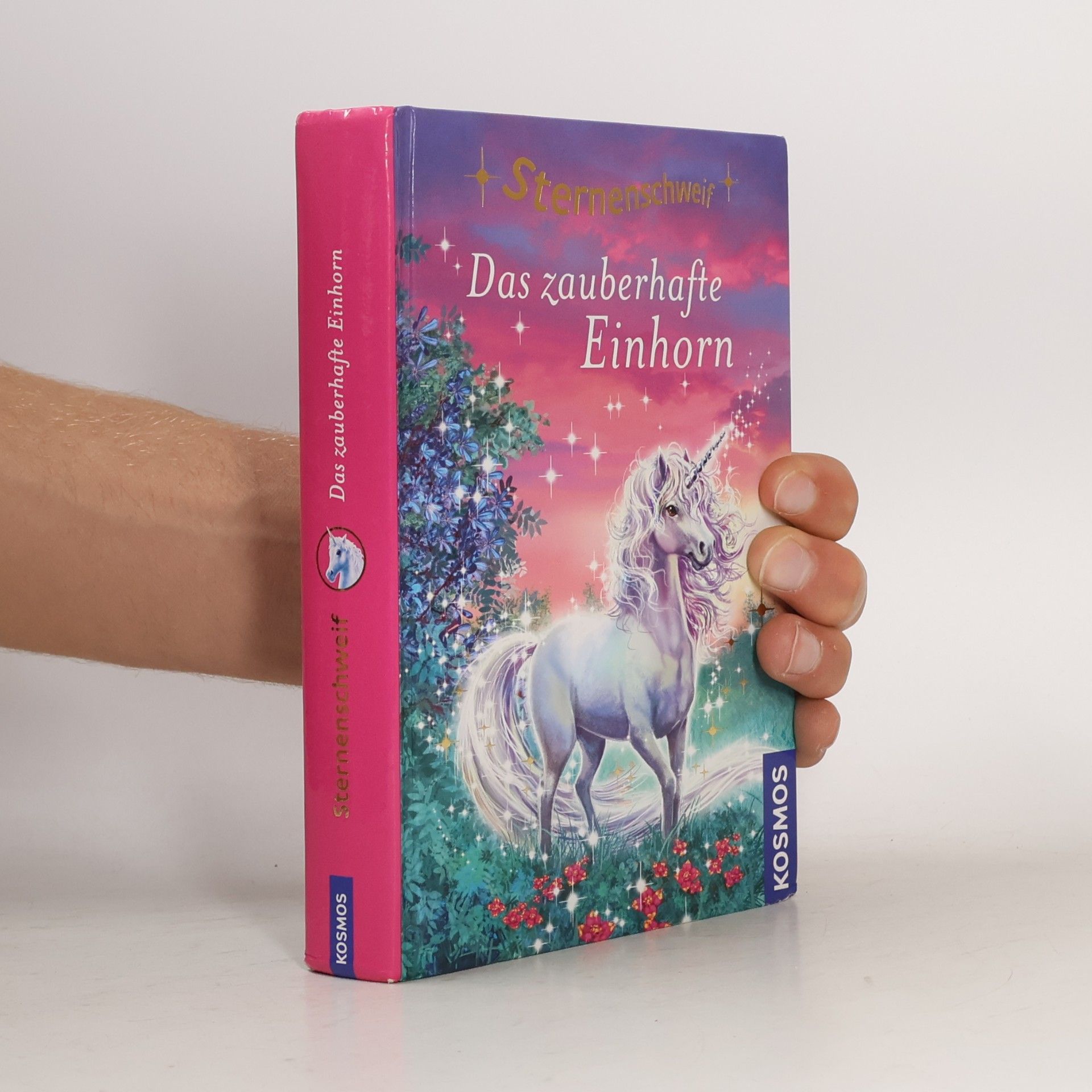 Linda Champan Sternenschweif - das zauberhafte Einhorn