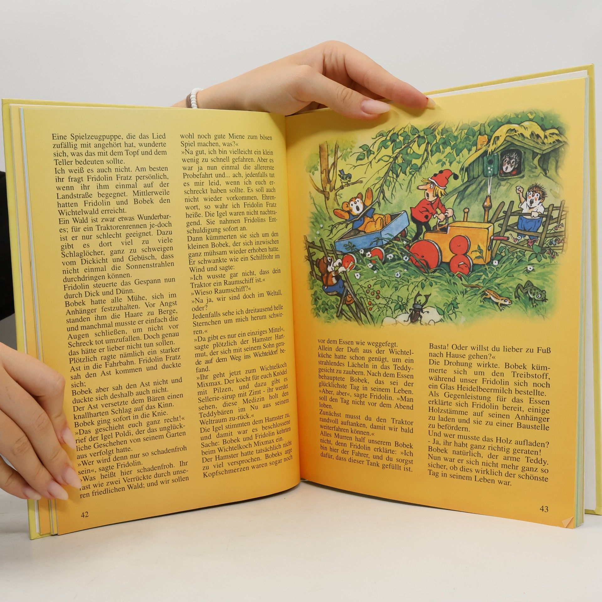 Autorenkollektiv Im Reich der Wichtel und Teddybären