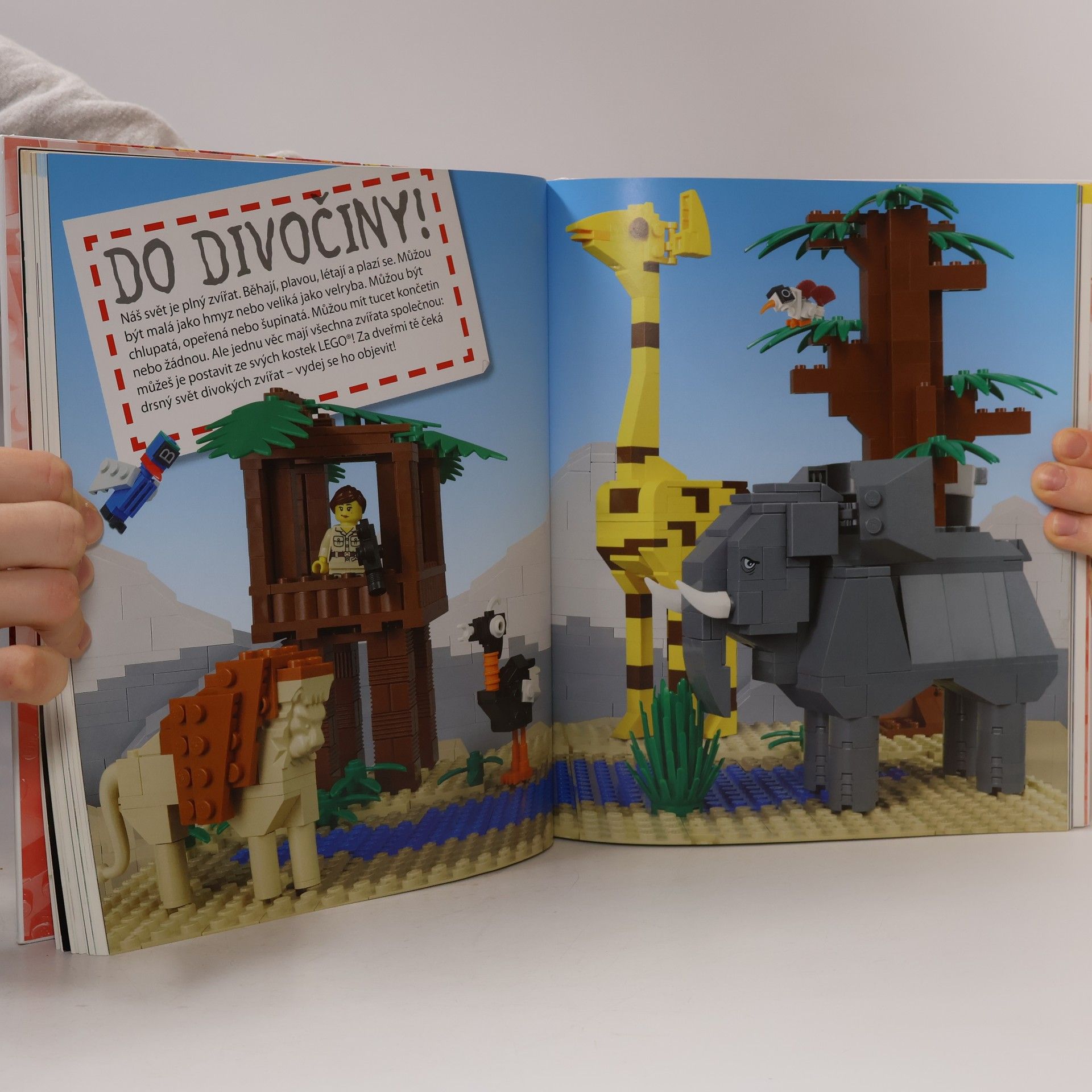 Daniel Lipkowitz Lego. Kniha nápadů