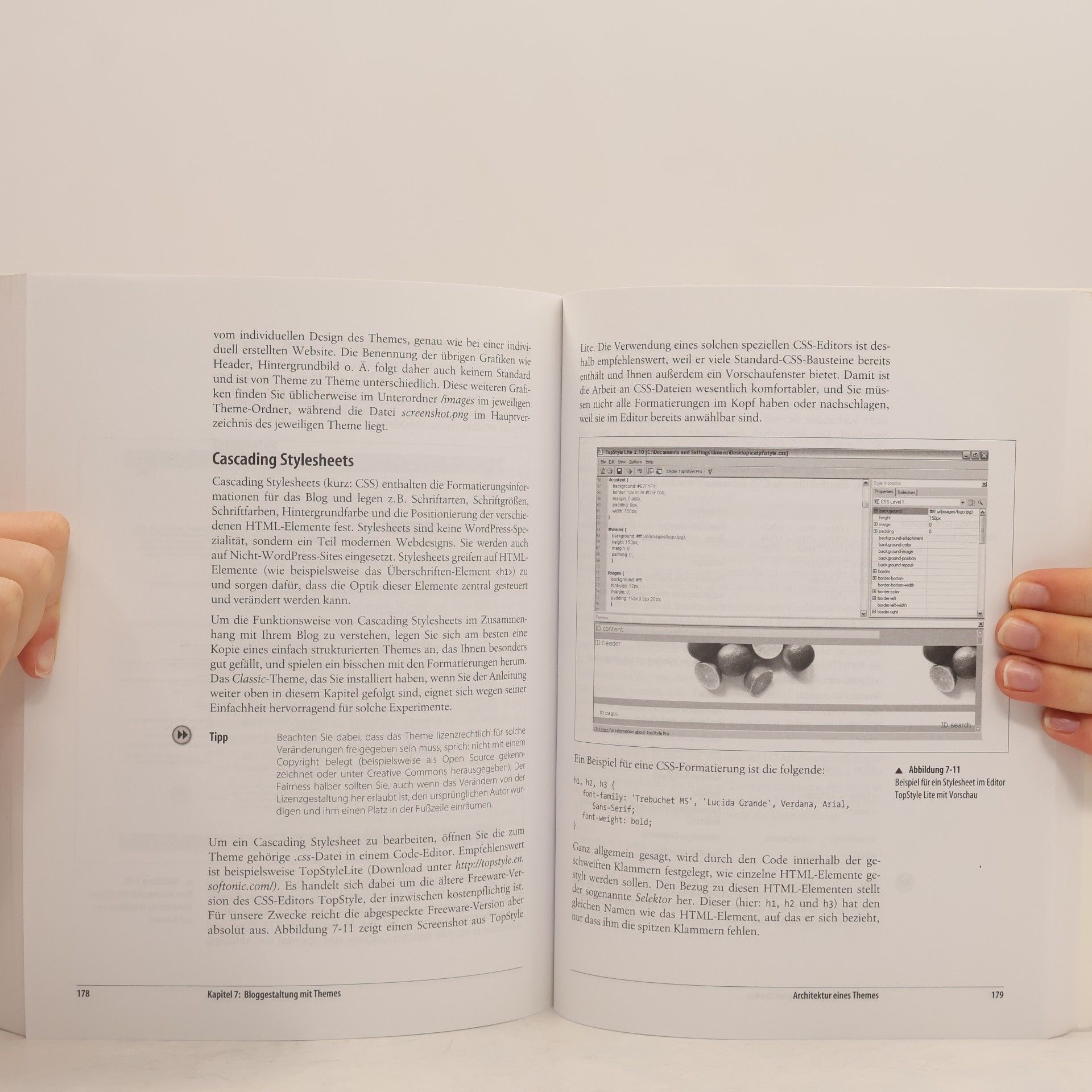 Olivia Adler Praxiswissen WordPress