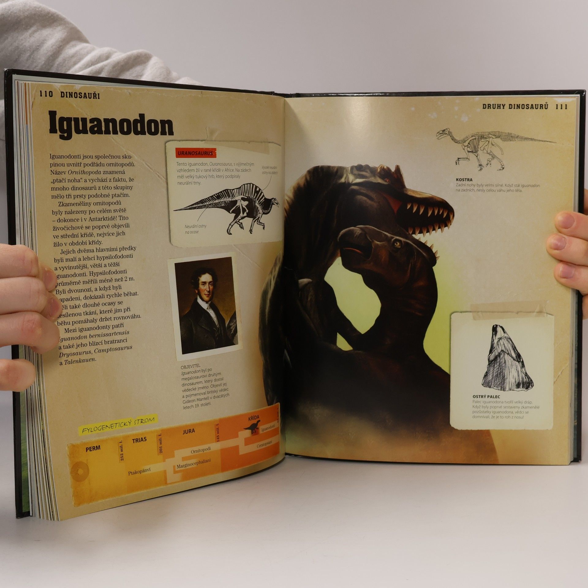 Kolektiv autorů Dinosauři - Objevuj prehistorický svět!