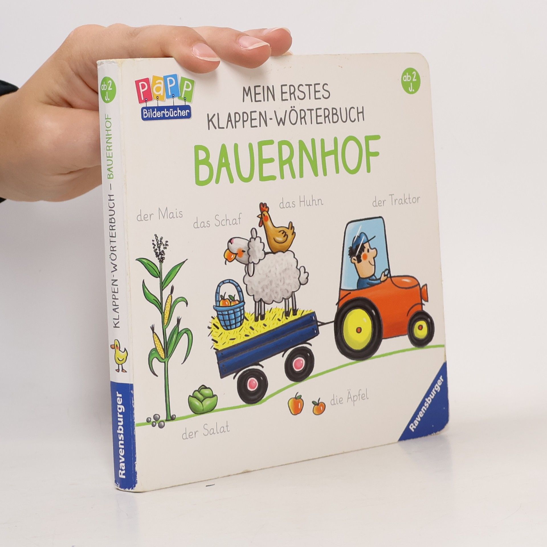 Martina Badstuber Mein erstes Klappen-Wörterbuch
