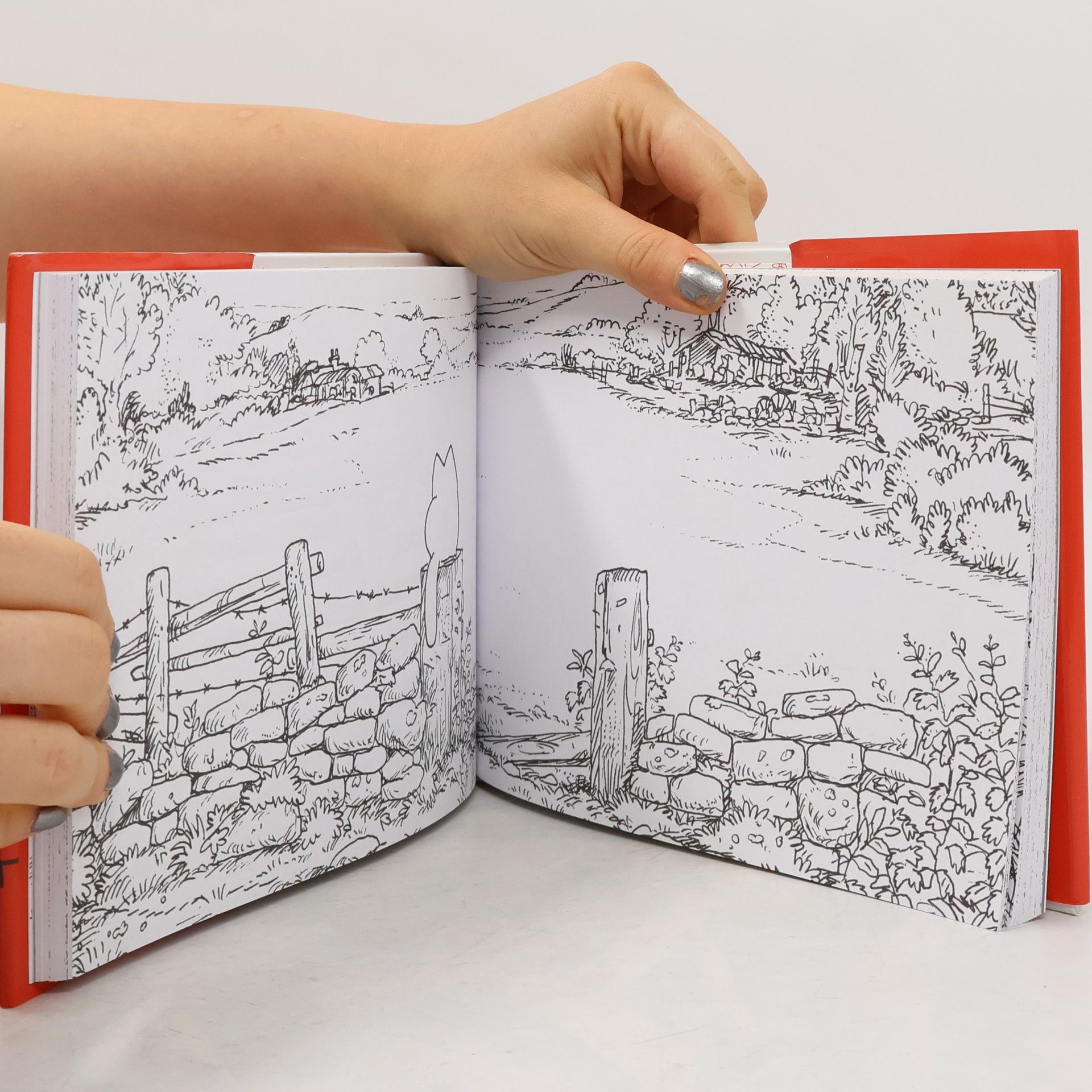Simon Tofield Simon's Cat: Beyond the Fence