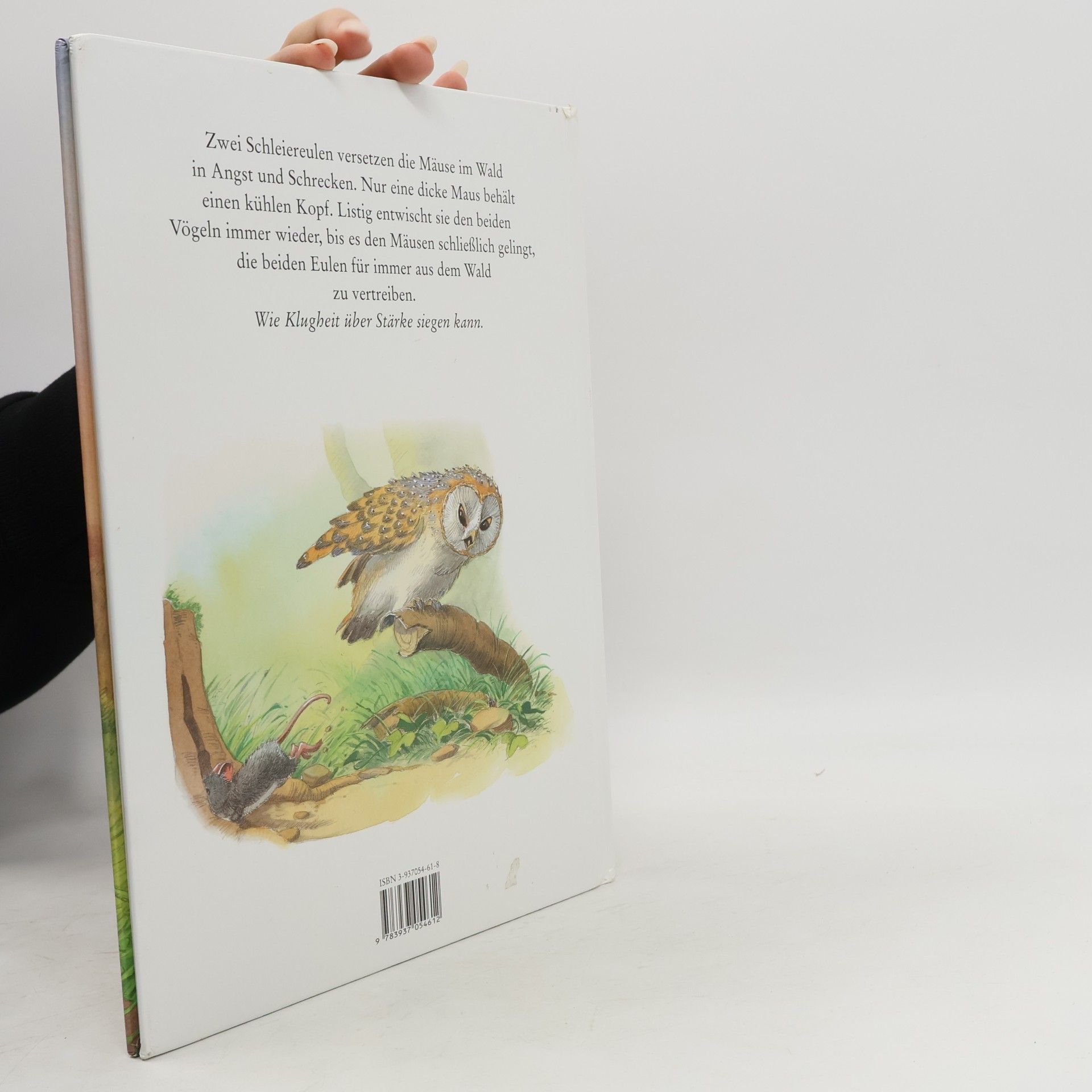 Udo Weigelt Zwei Eulen und die kluge dicke Maus