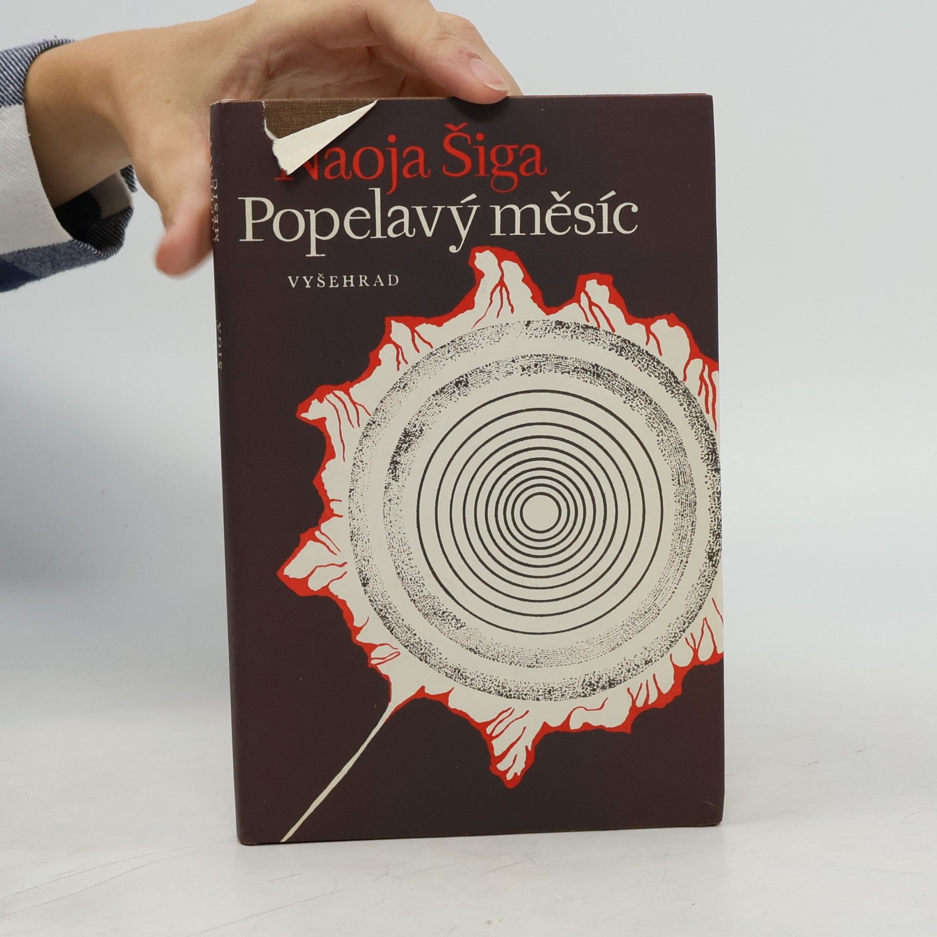 Šiga Naoja Popelavý měsíc