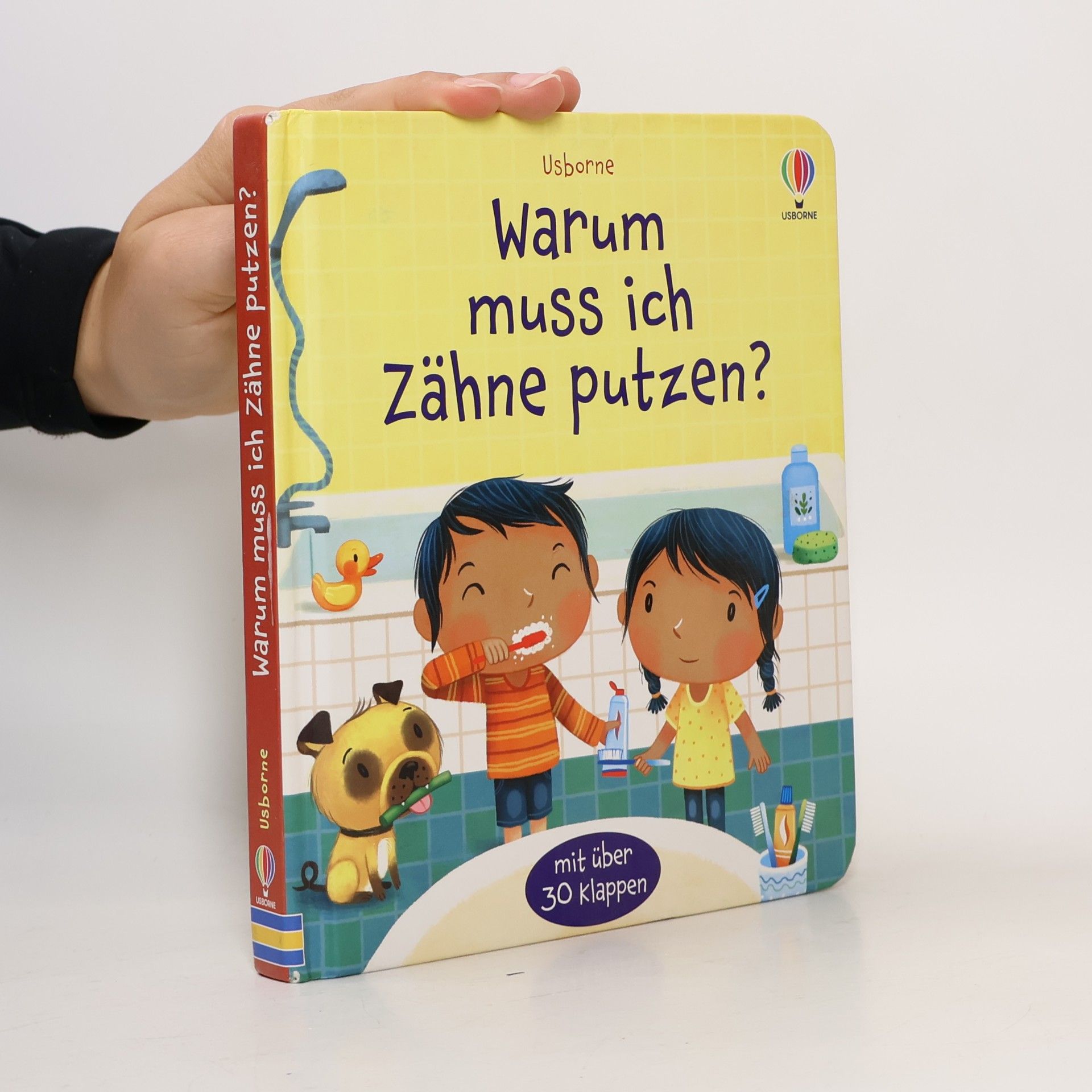 Katie Daynes Warum muss ich Zähne putzen?