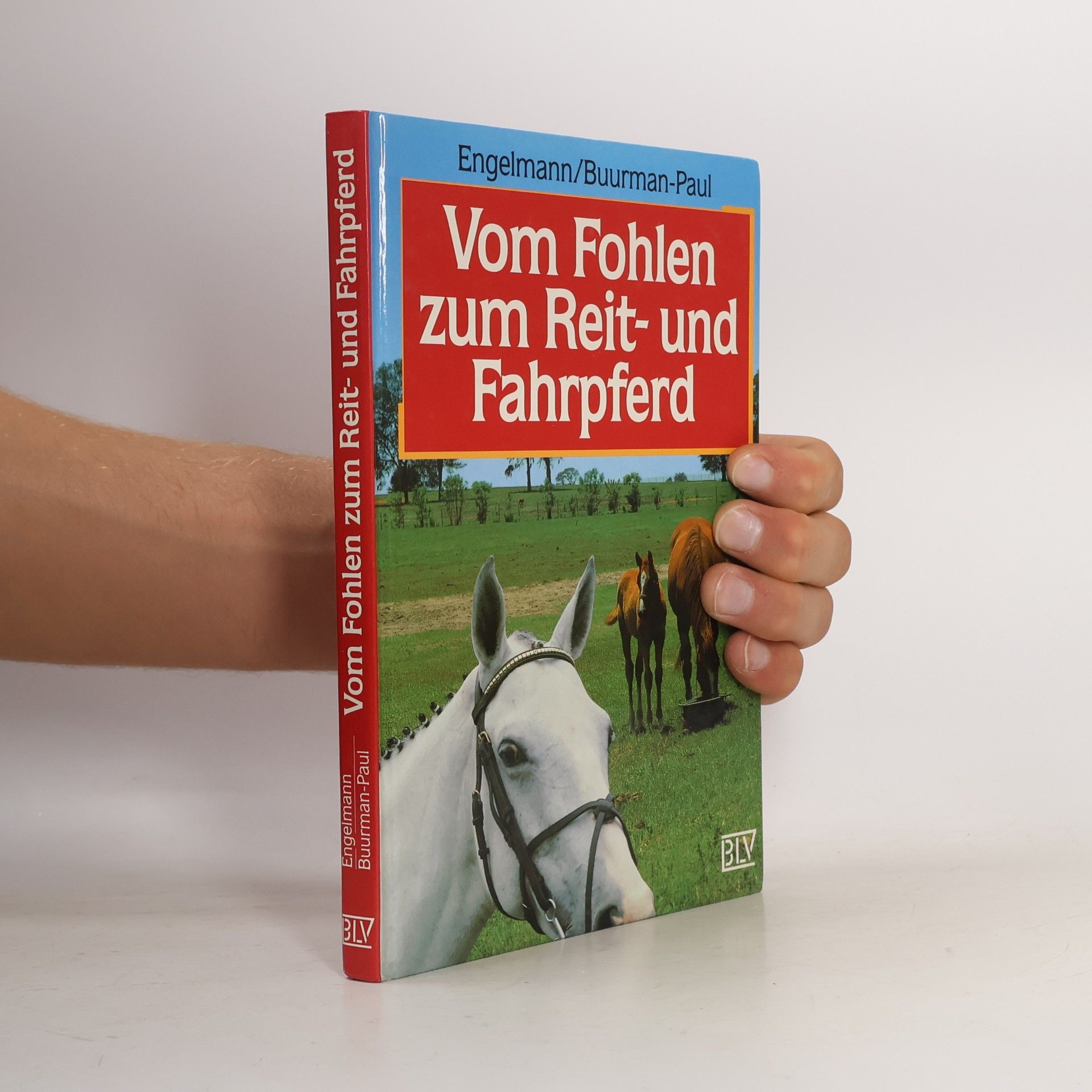 Vom Fohlen zum Reit- und Fahrpferd