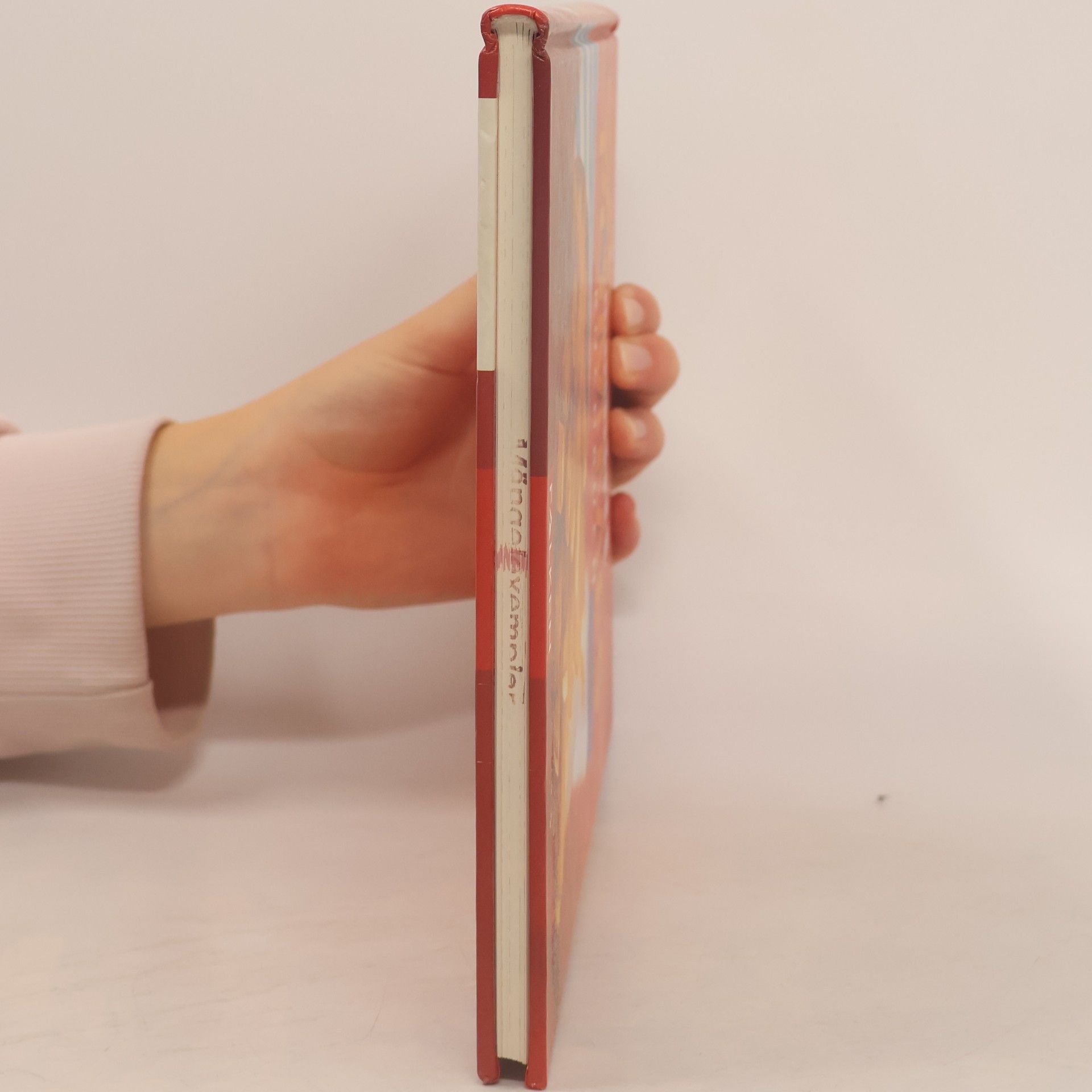 Kay-Henner Menge Pommes-Kochbuch