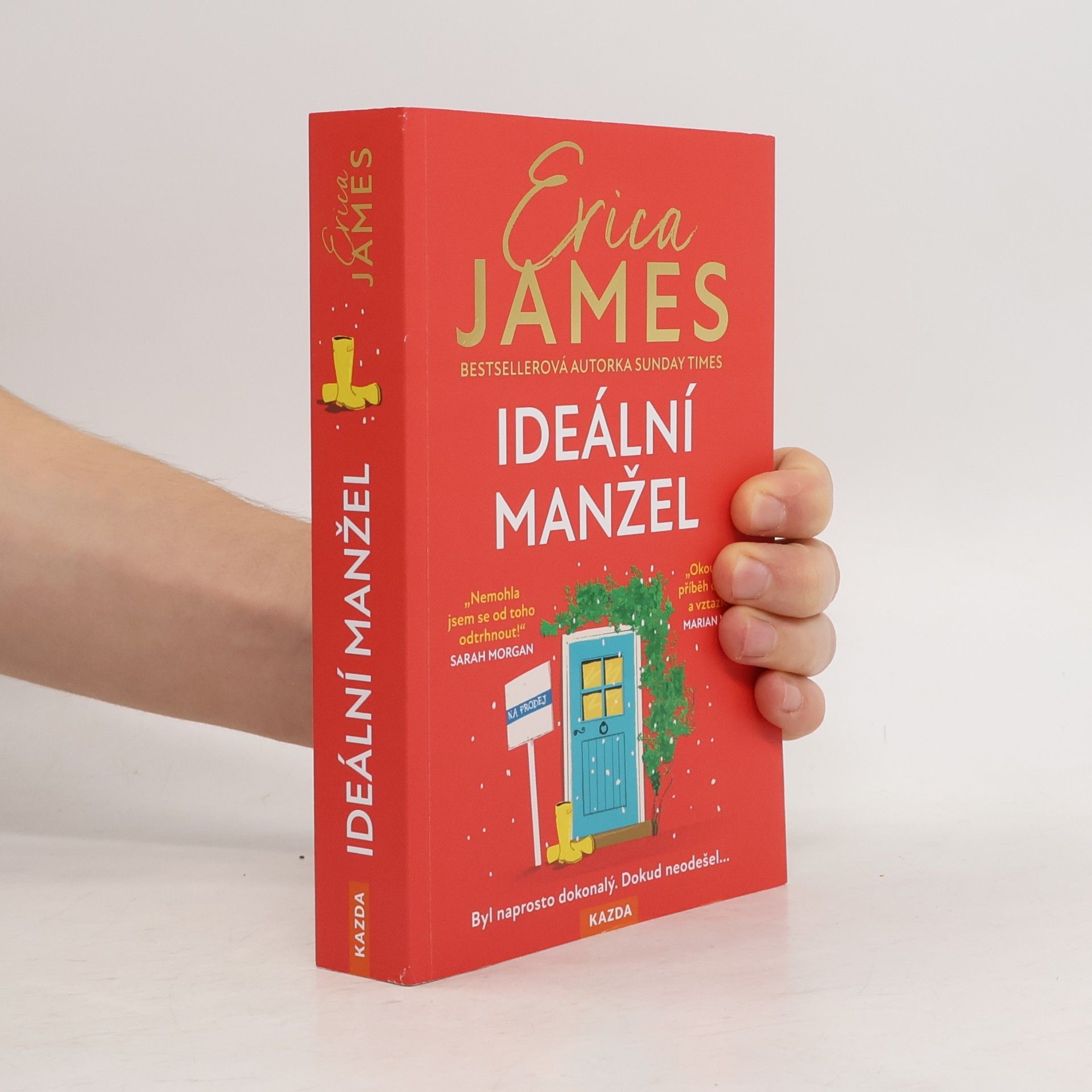 Erica James Ideální manžel