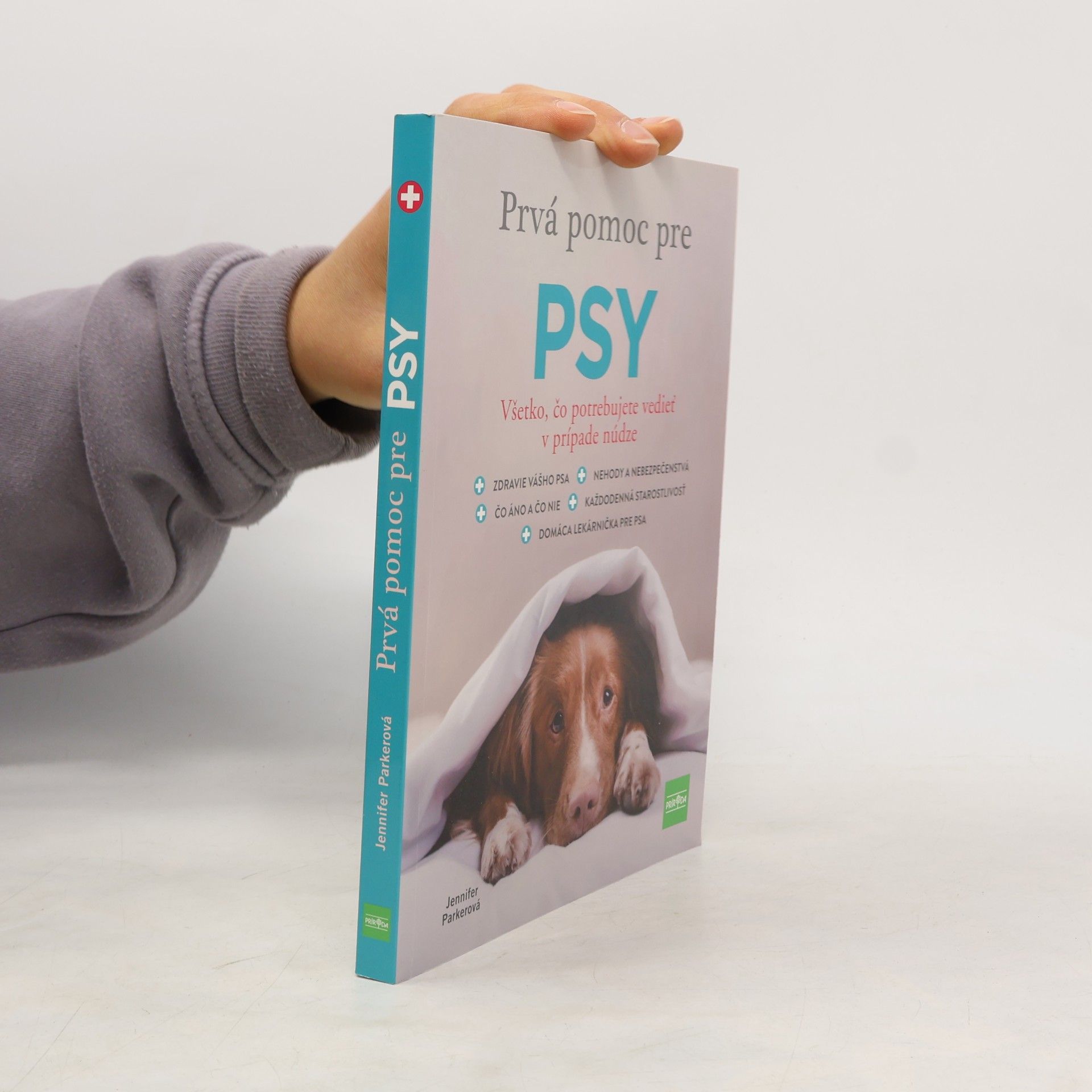 Prvá pomoc pre psy: Všetko, čo potrebujete vedieť v prípade núdze