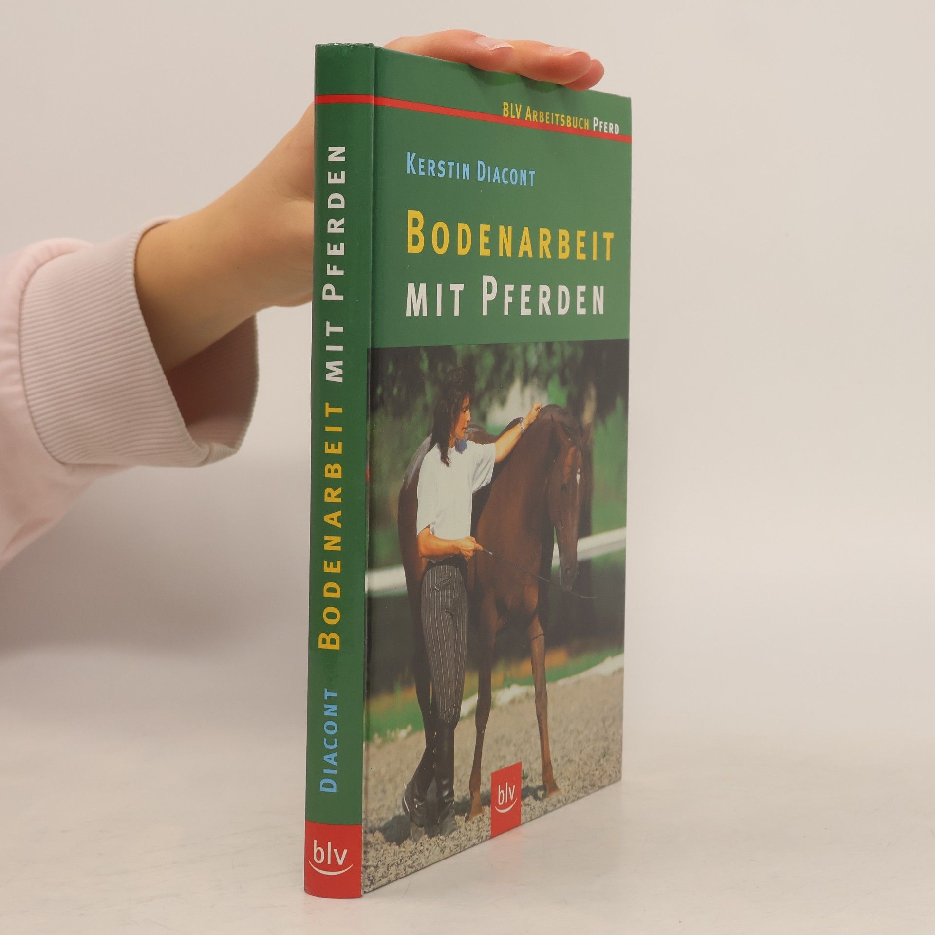 Bodenarbeit mit Pferden