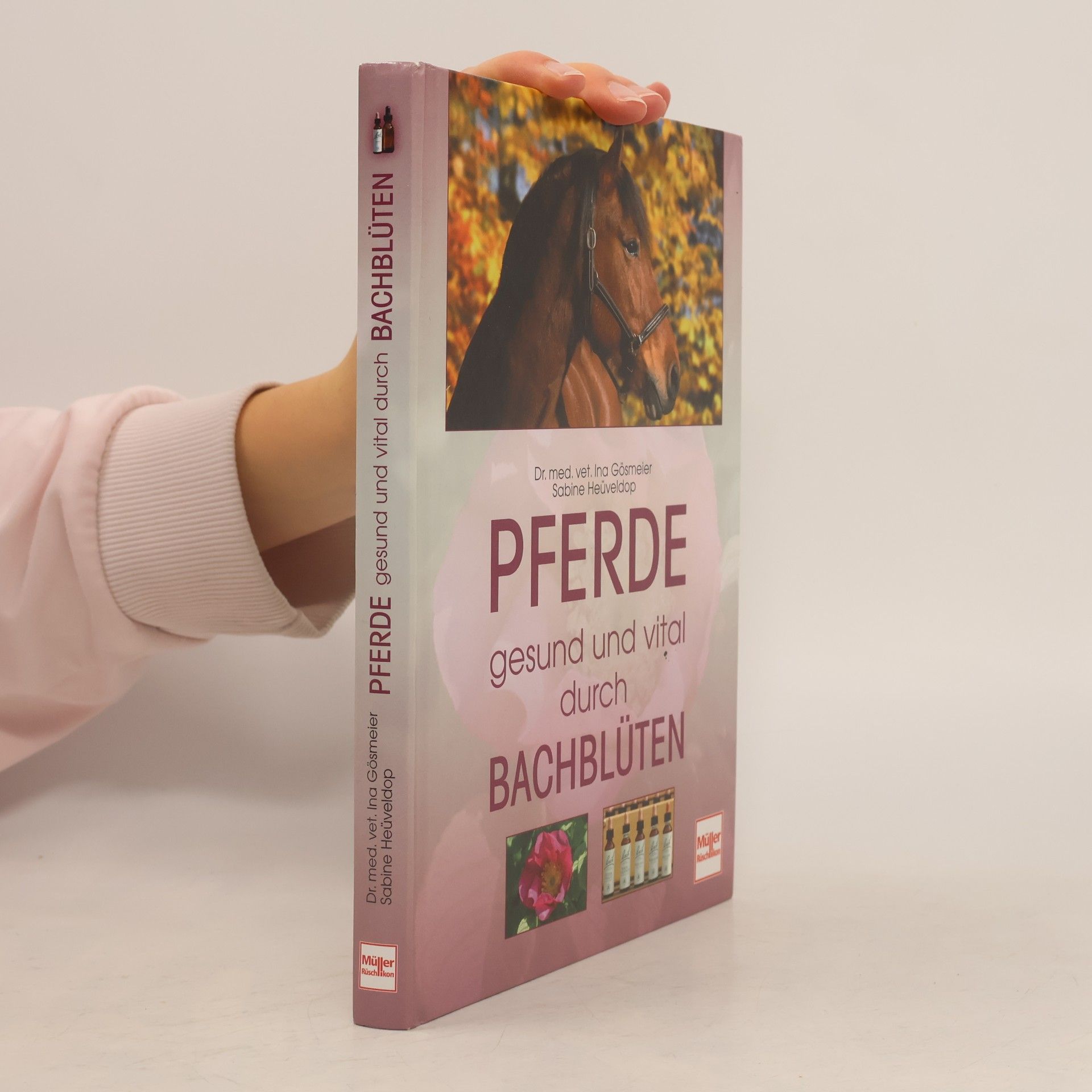 Ina Gösmeier Pferde, gesund und vital durch Bachblüten