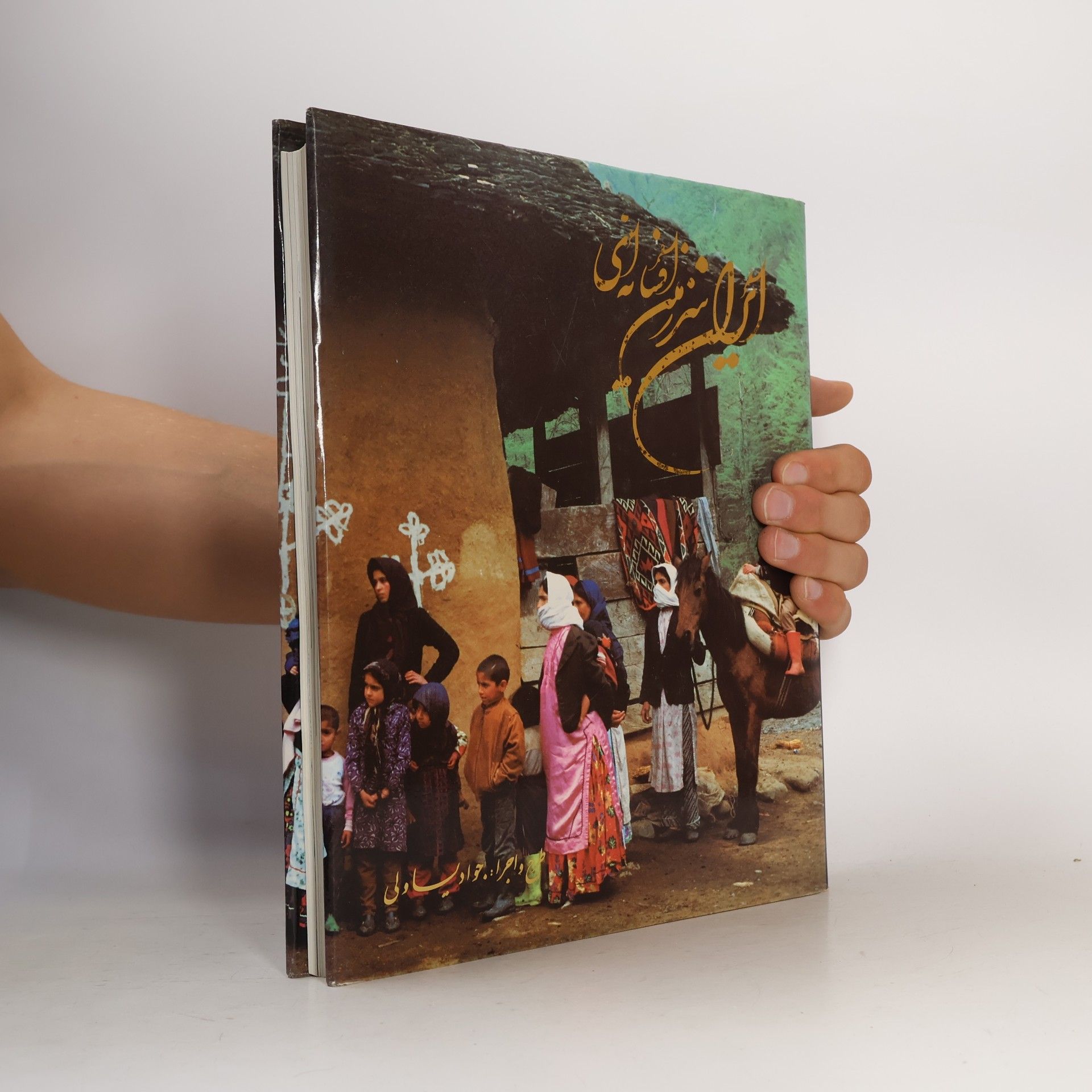 Javad Yassavoli The Fabulous Land of Iran