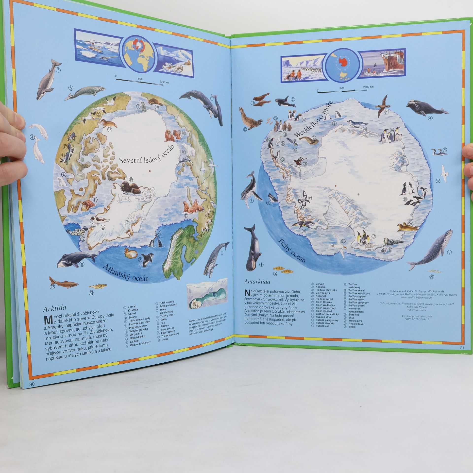 Kolektiv autorů Dětský atlas zvířat
