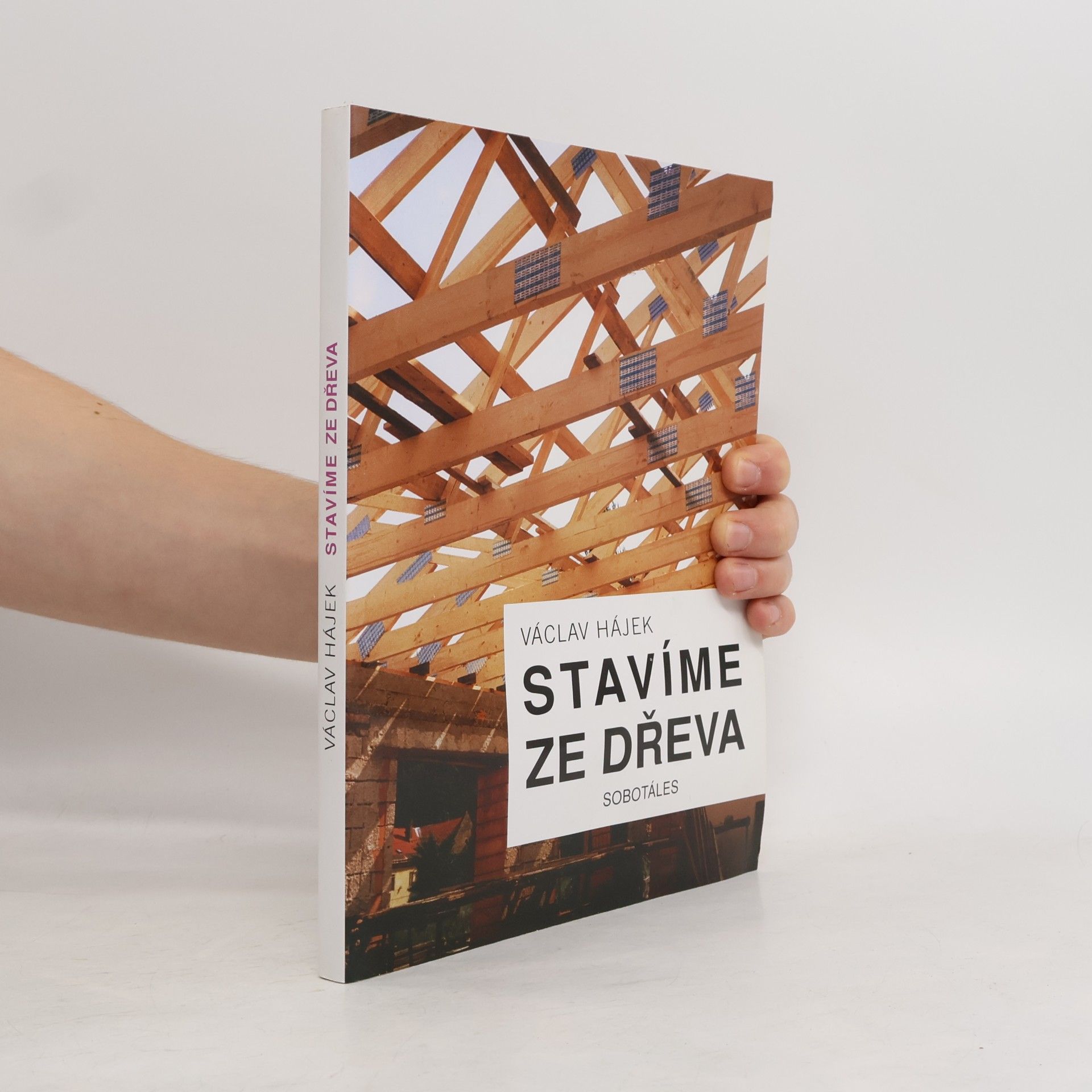 Václav Hájek Stavíme ze dřeva