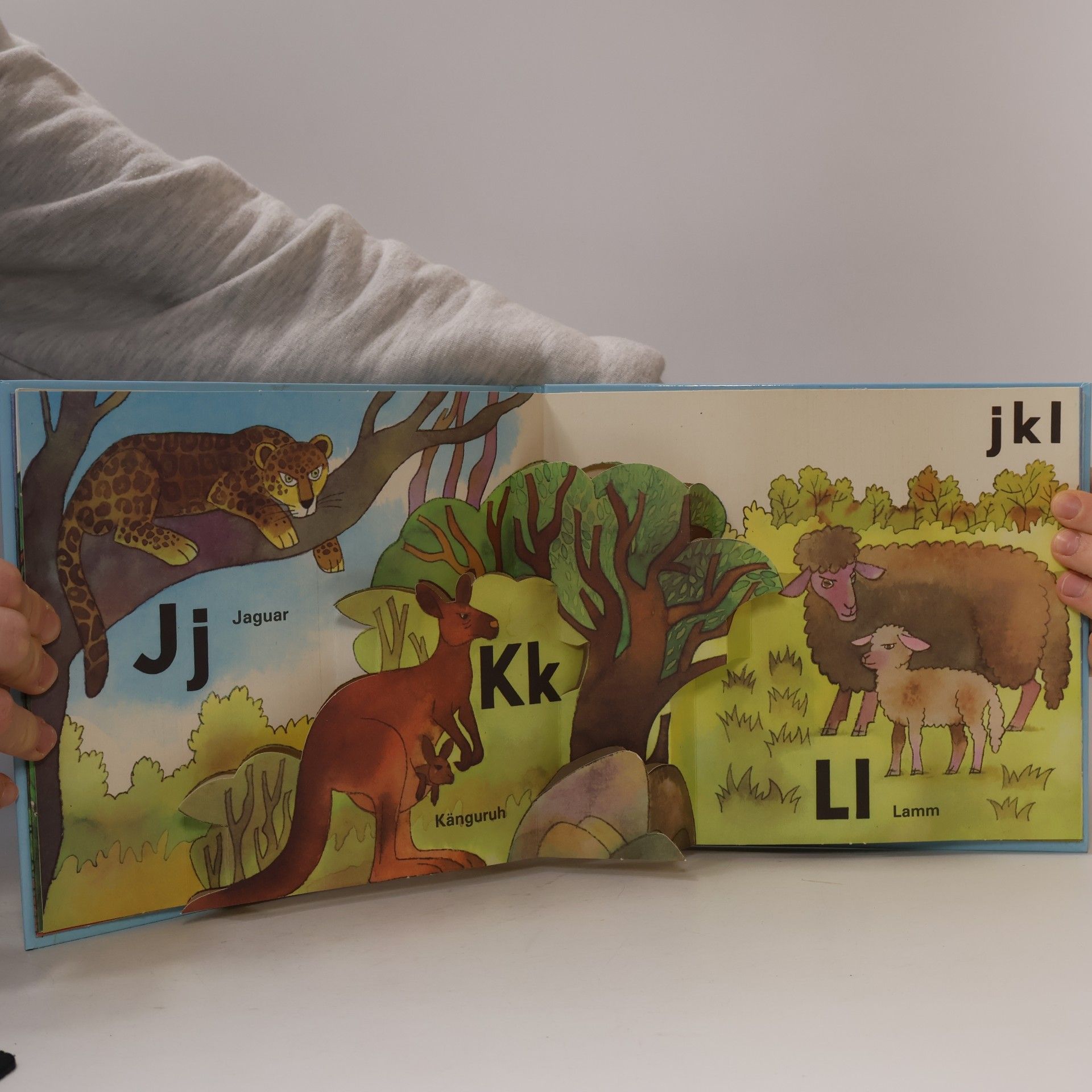 Paxli, J. Mein ABC Bilderbuch