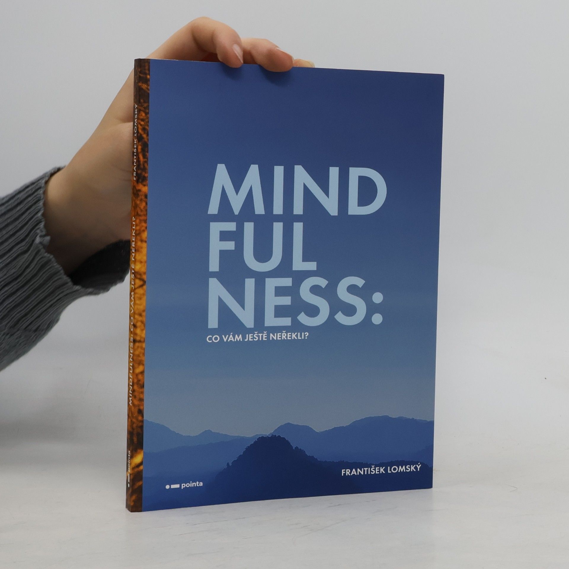 František Lomský Mindfulness : co vám ještě neřekli?