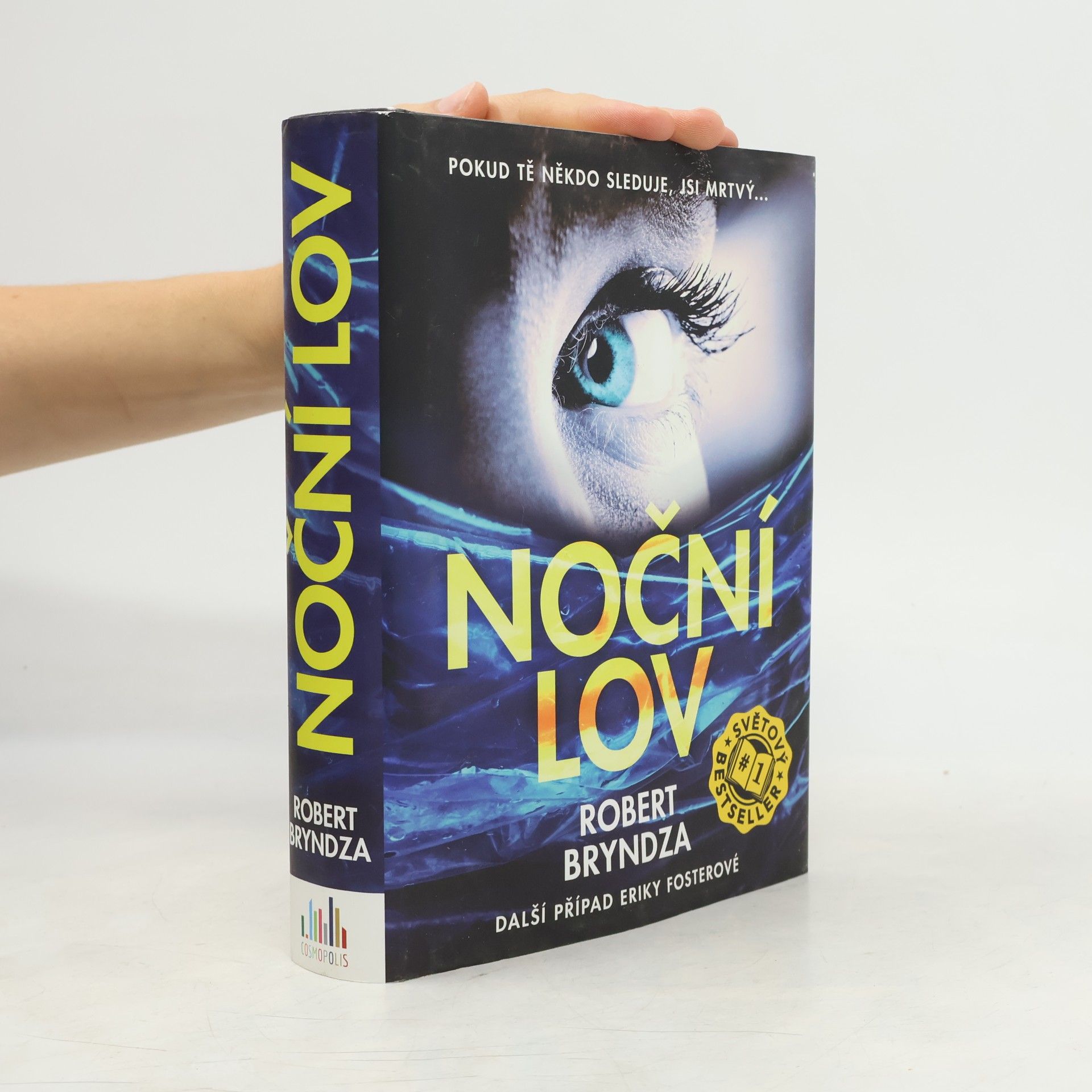 Robert Bryndza Noční lov