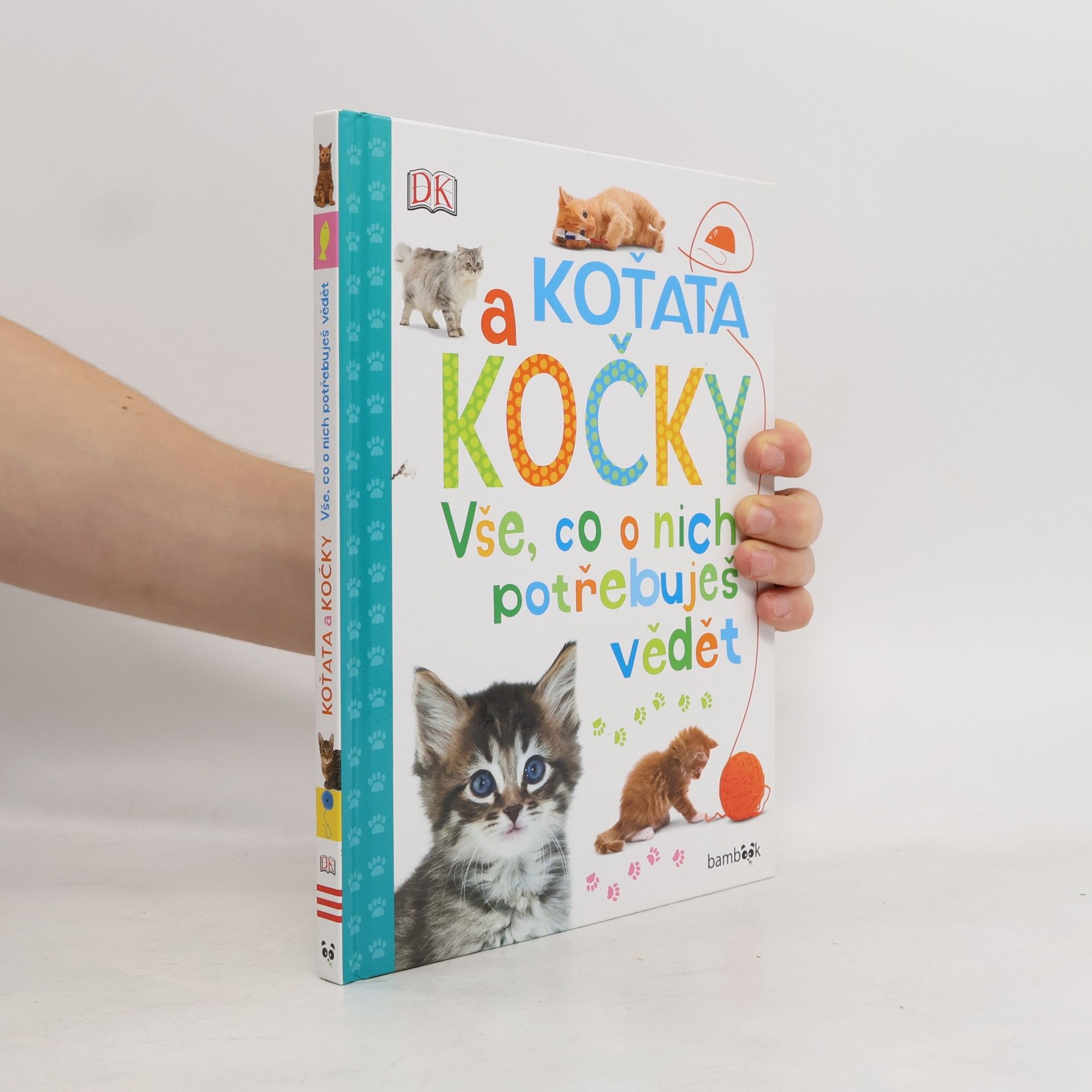 Andrea Mills Koťata a kočky – Vše, co o nich potřebuješ vědět