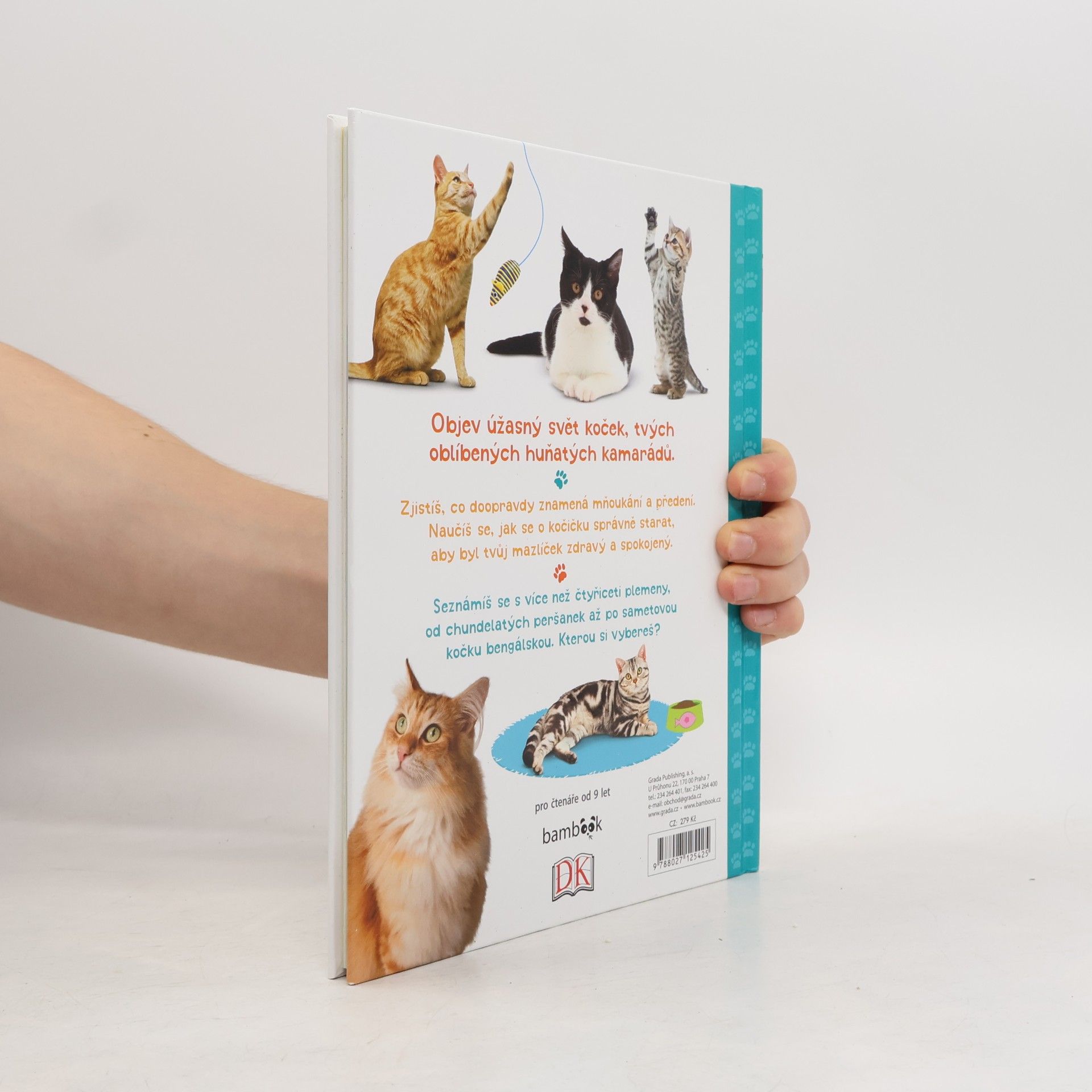 Andrea Mills Koťata a kočky – Vše, co o nich potřebuješ vědět