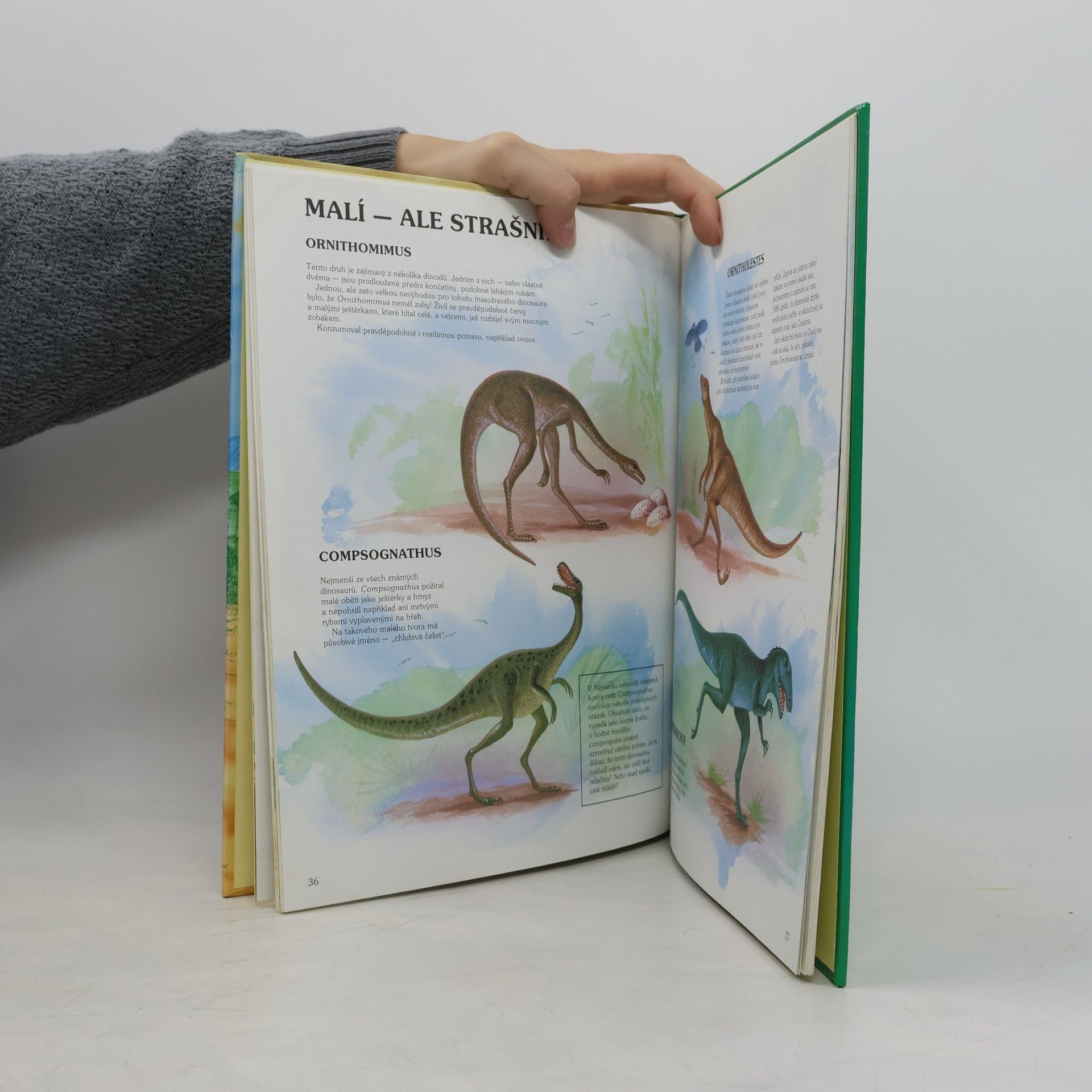 Glynis Langley Svět dinosaurů