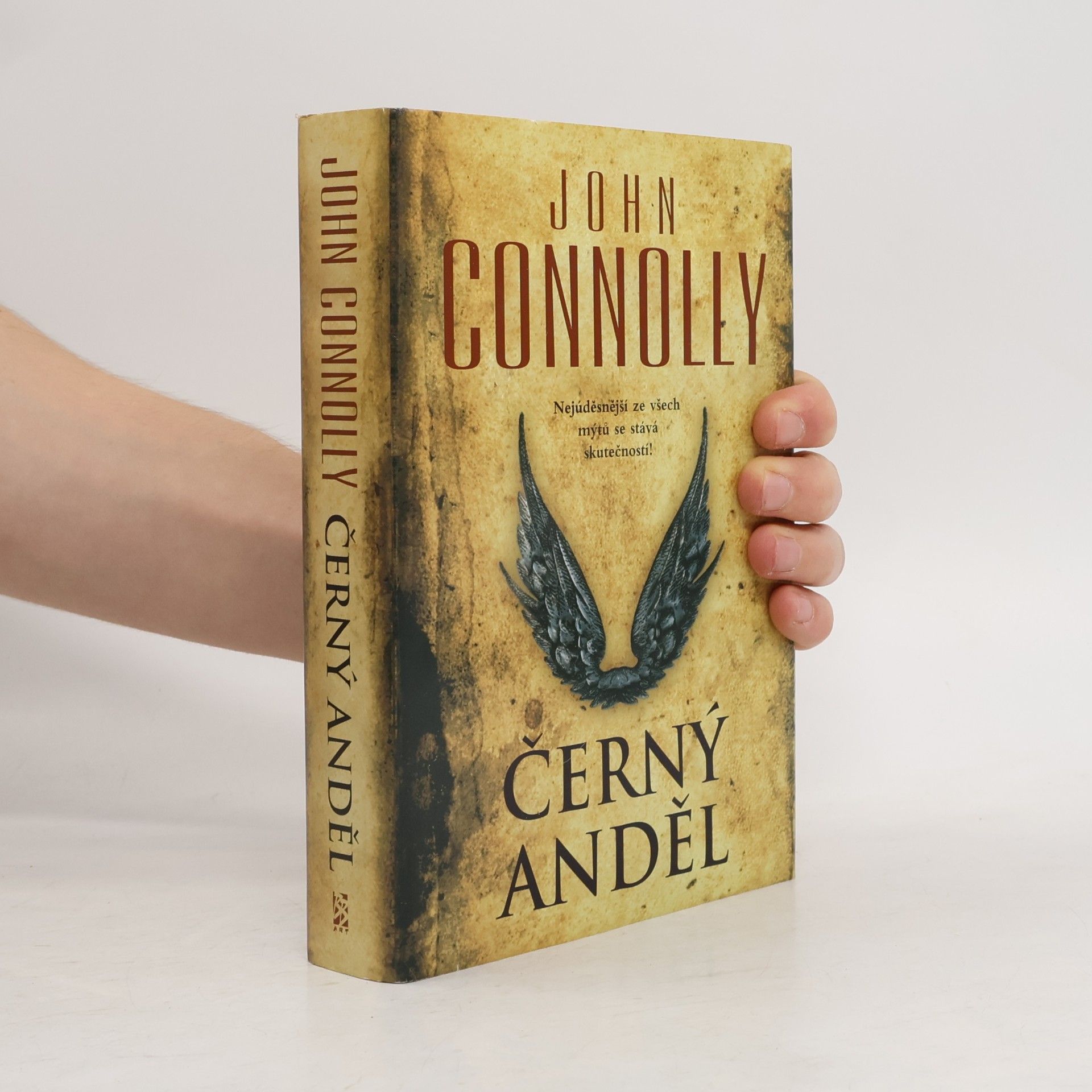 John Connolly Černý anděl