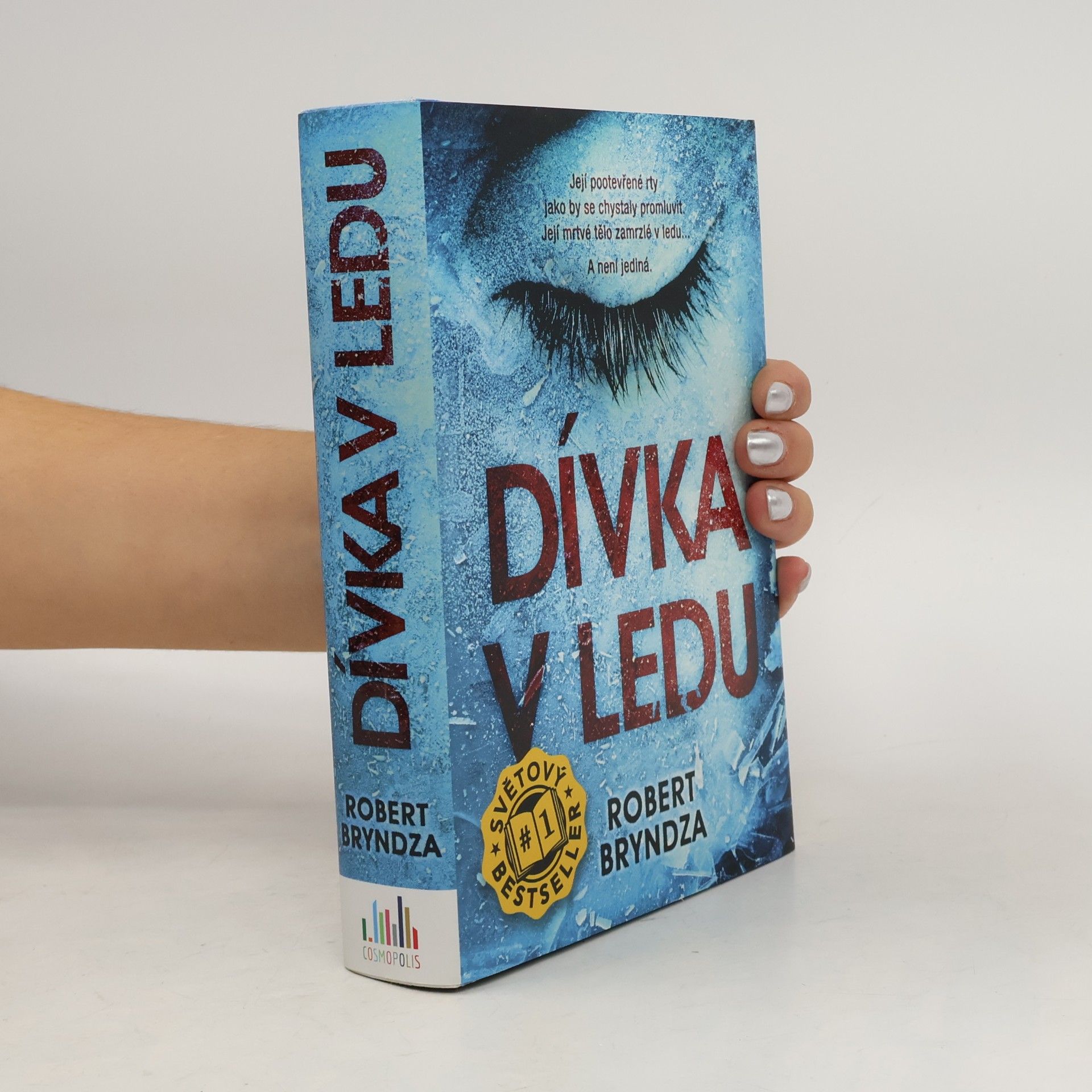 Robert Bryndza Dívka v ledu