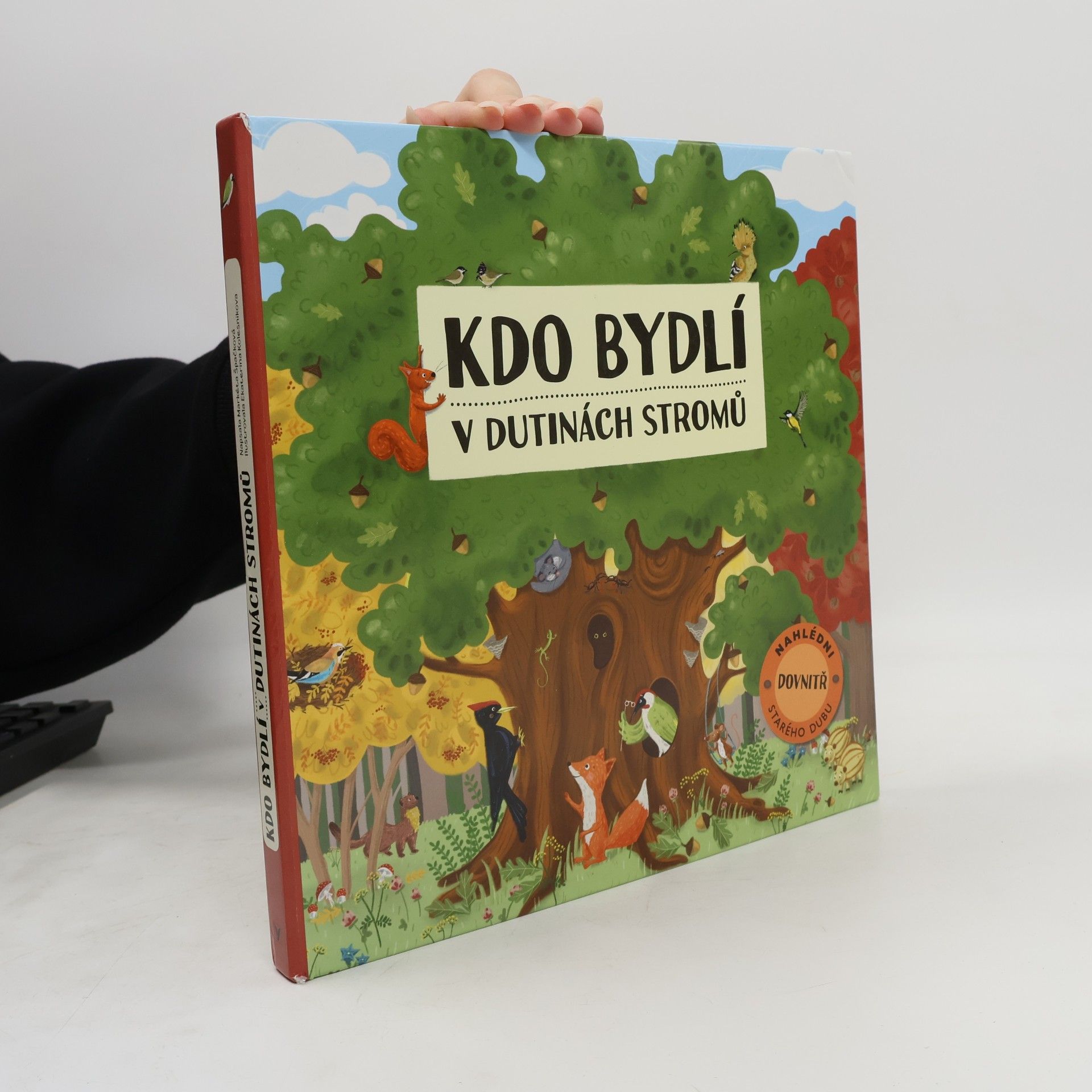 Ekaterina Kolesnikova Kdo bydlí v dutinách stromů