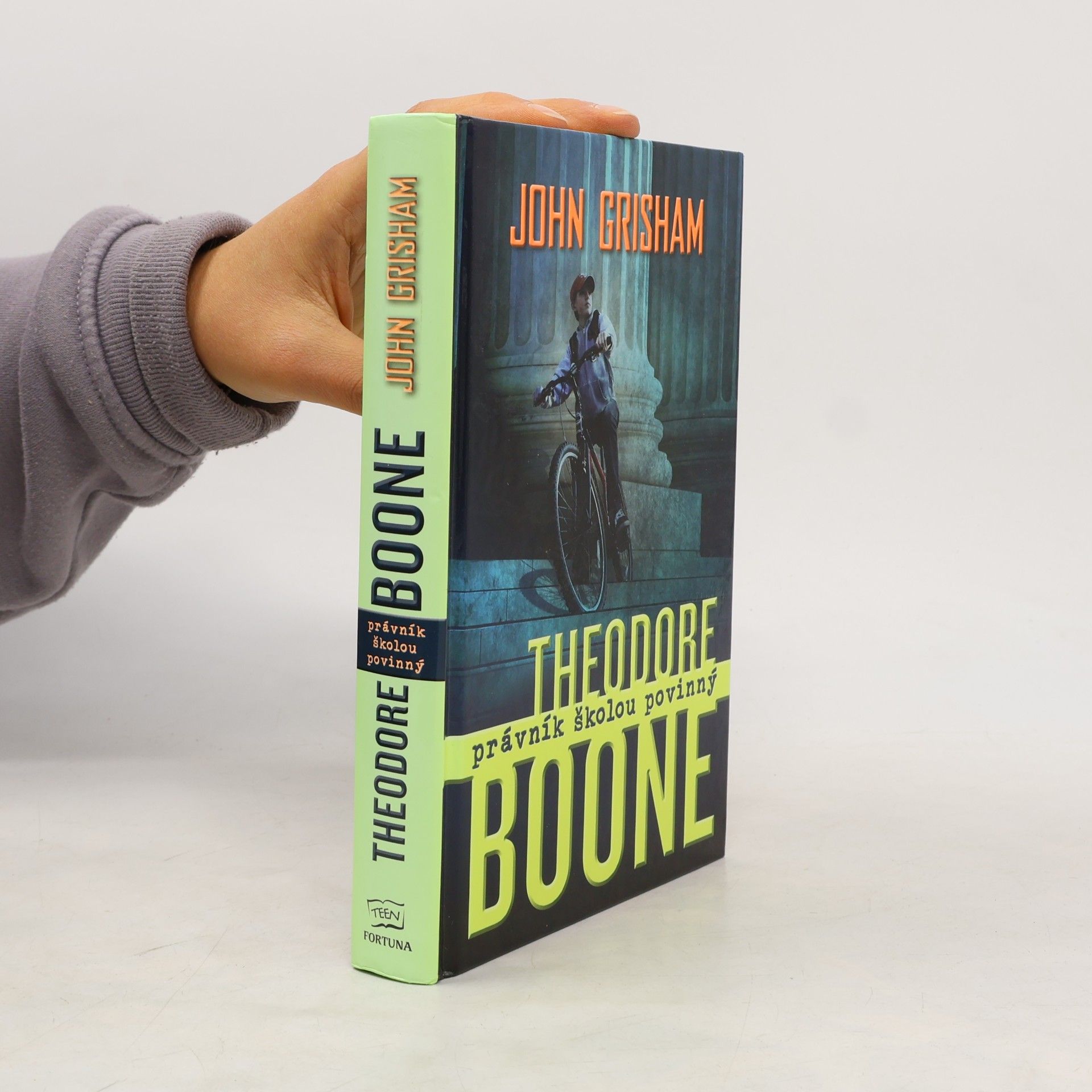 Theodore Boone: Právník školou povinný