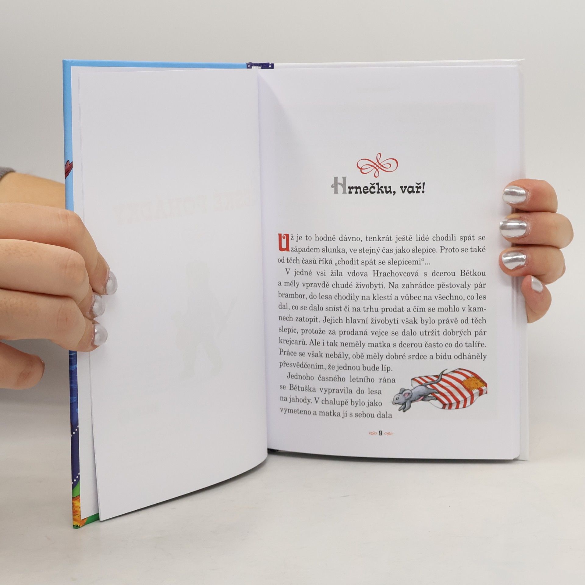 Autorenkollektiv České pohádky do kapsy