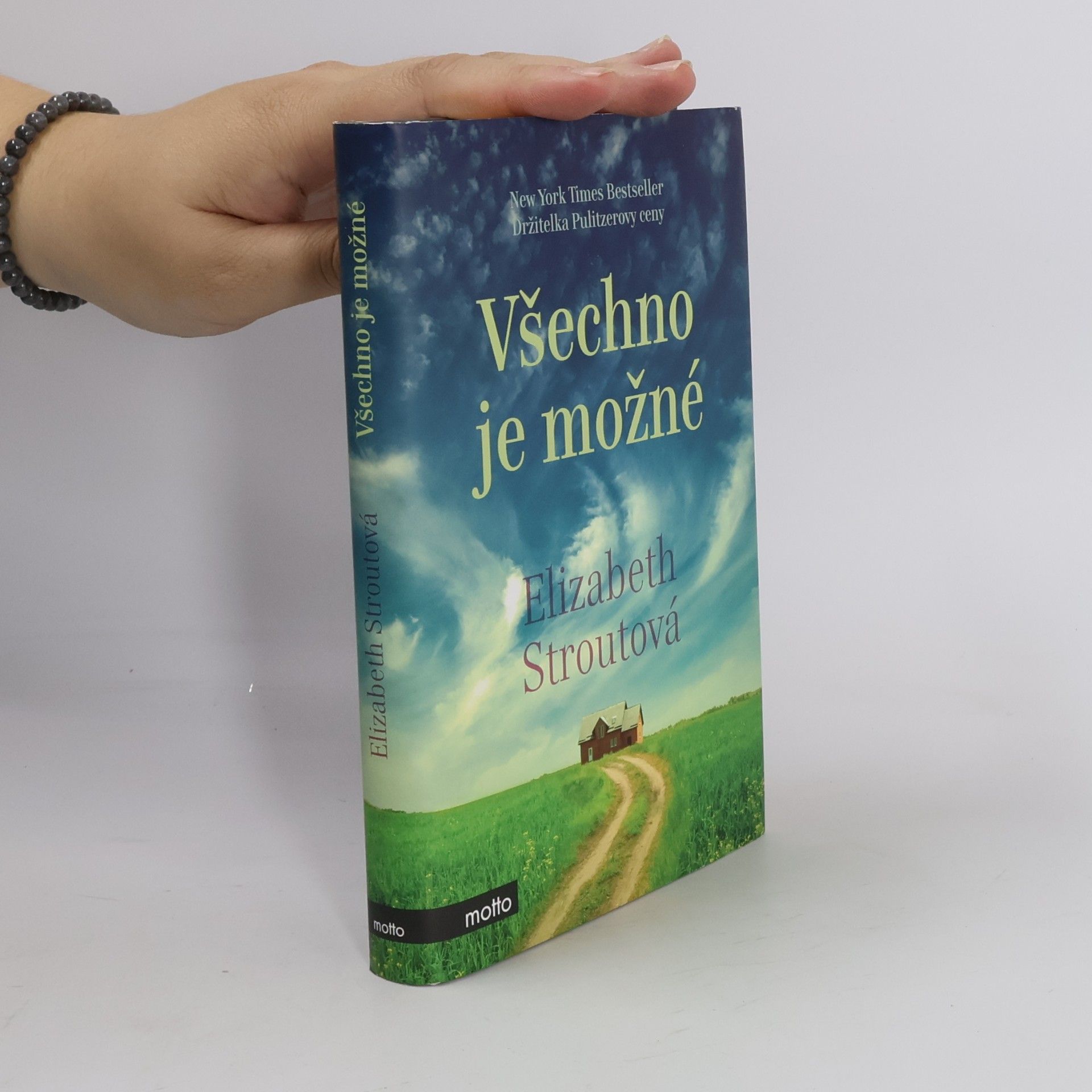 Elizabeth Strout Všechno je možné
