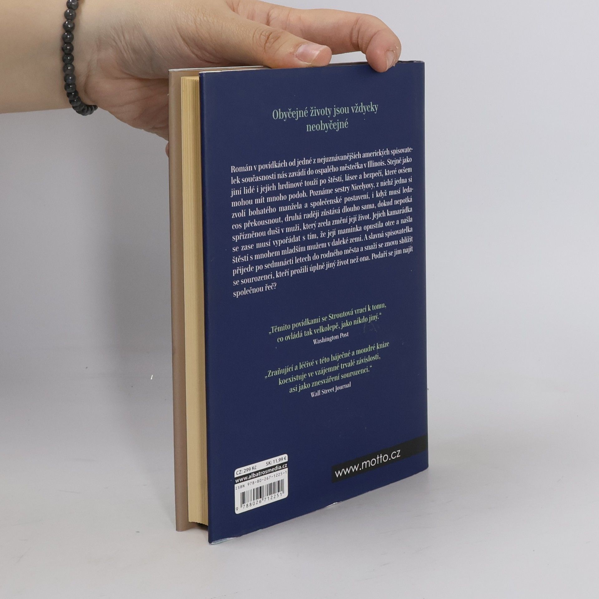 Elizabeth Strout Všechno je možné
